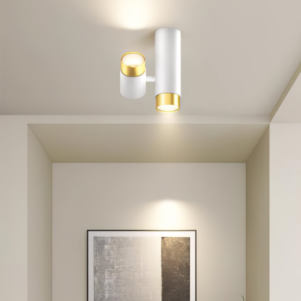 Puma Spotlight Ceiling Light - Lumpaz