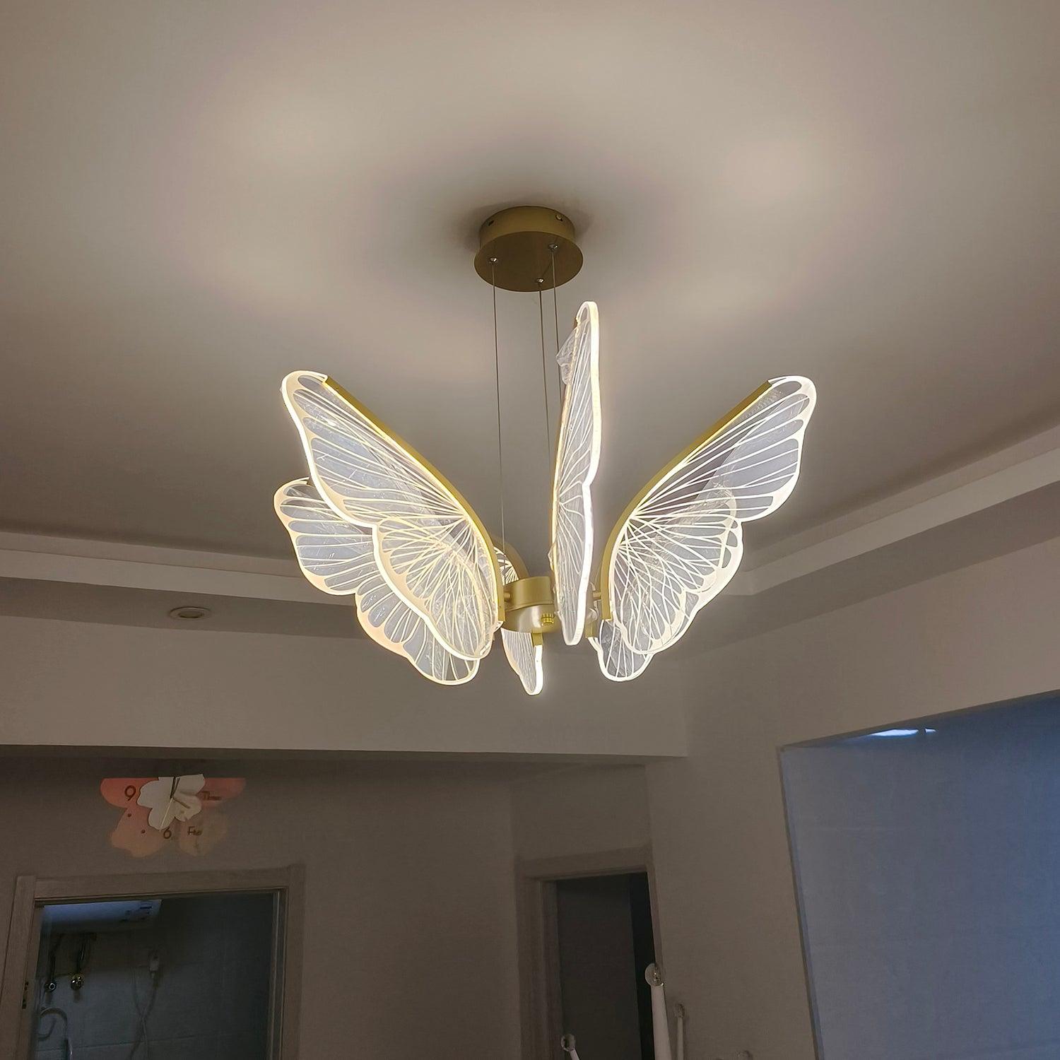Phalaenopsis Chandelier - Lumpaz