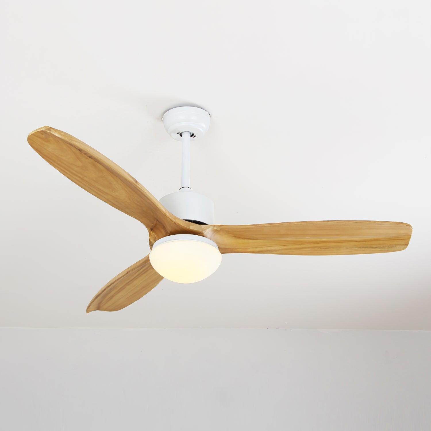 Harborough 3 Ceiling Fan Light - Lumpaz