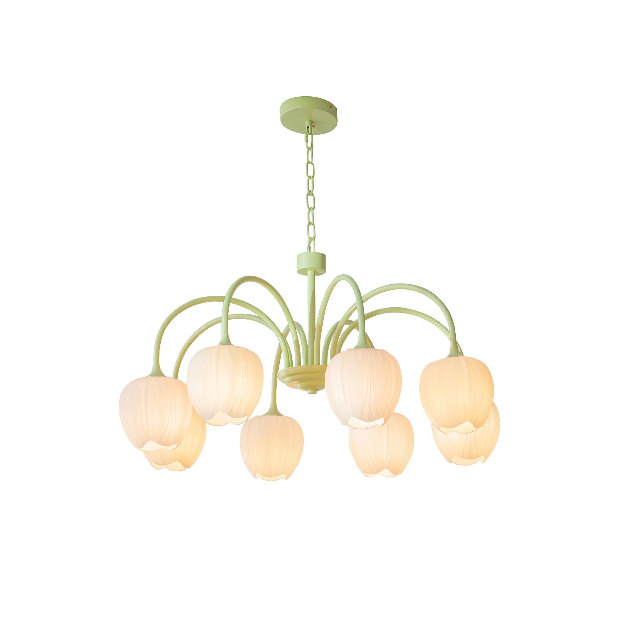 Tulip Matcha Chandelier - Lumpaz
