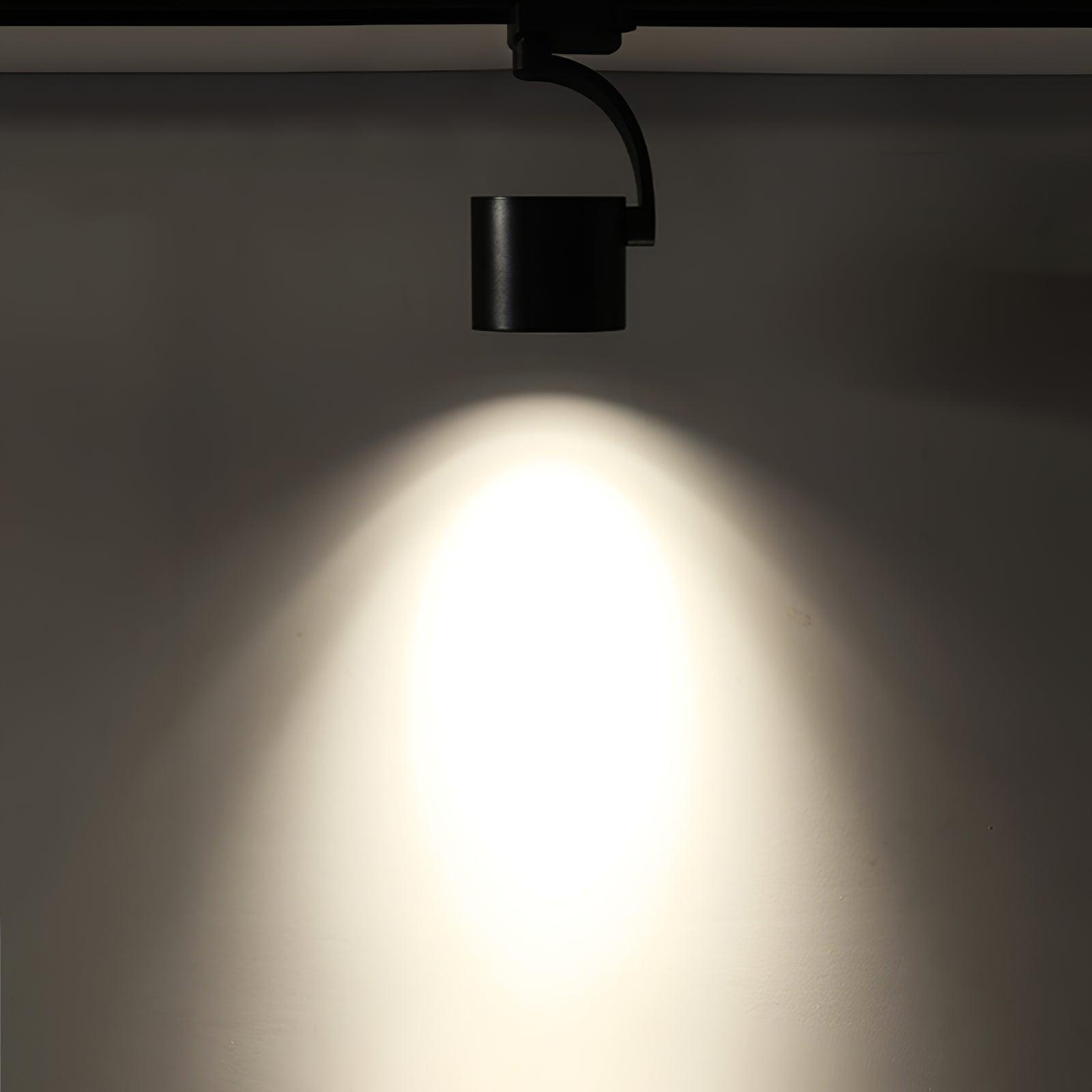 Paloma Ceiling Light - Lumpaz