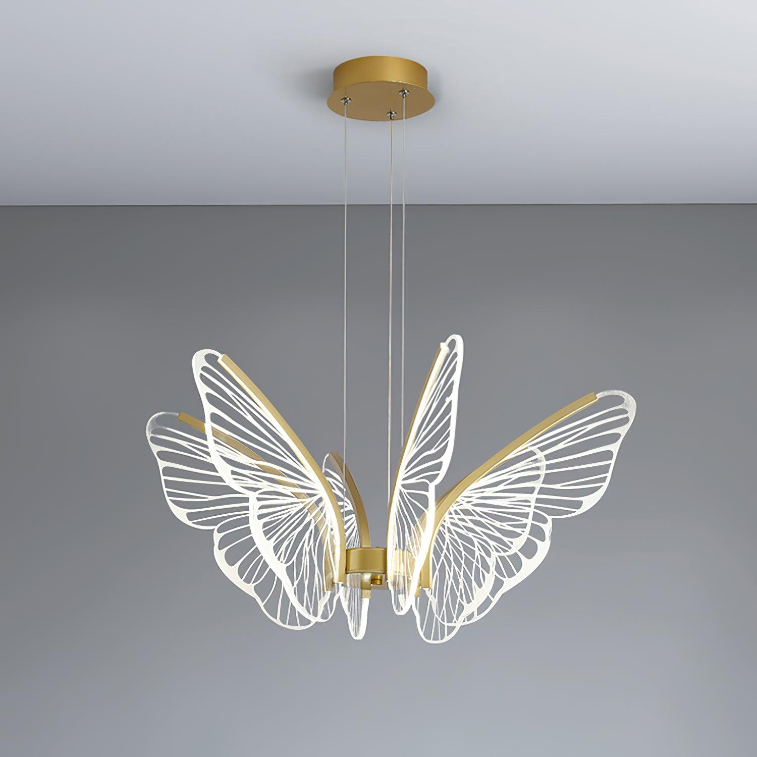 Phalaenopsis Chandelier - Lumpaz
