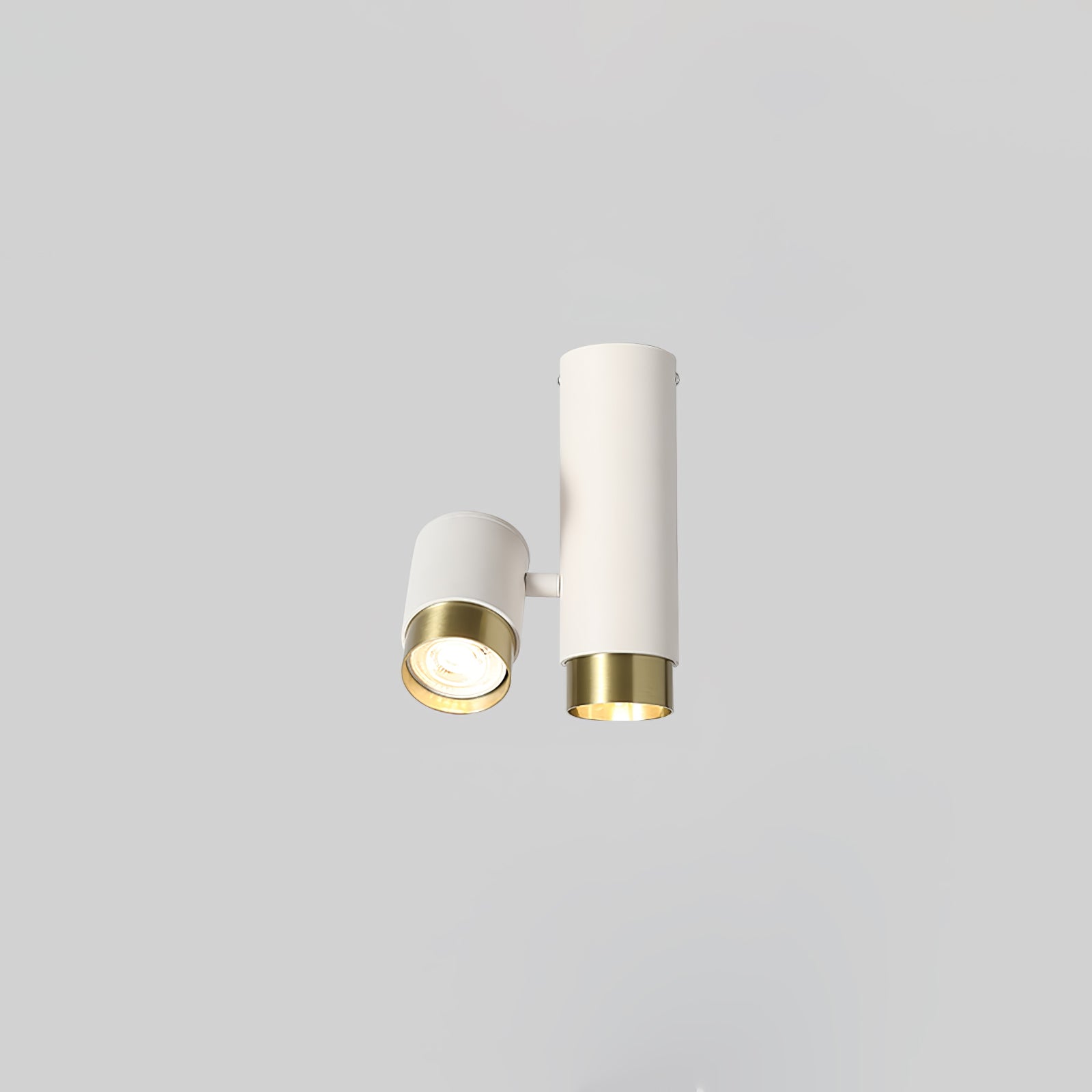 Puma Spotlight Ceiling Light - Lumpaz