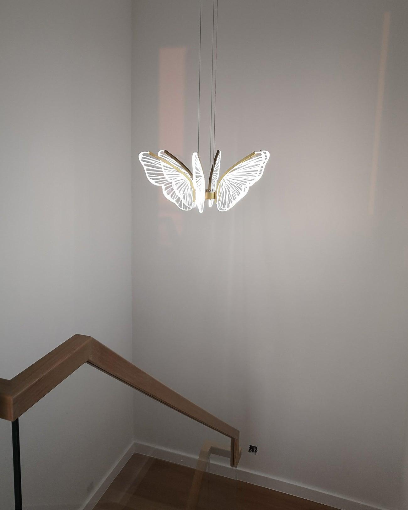 Phalaenopsis Chandelier - Lumpaz