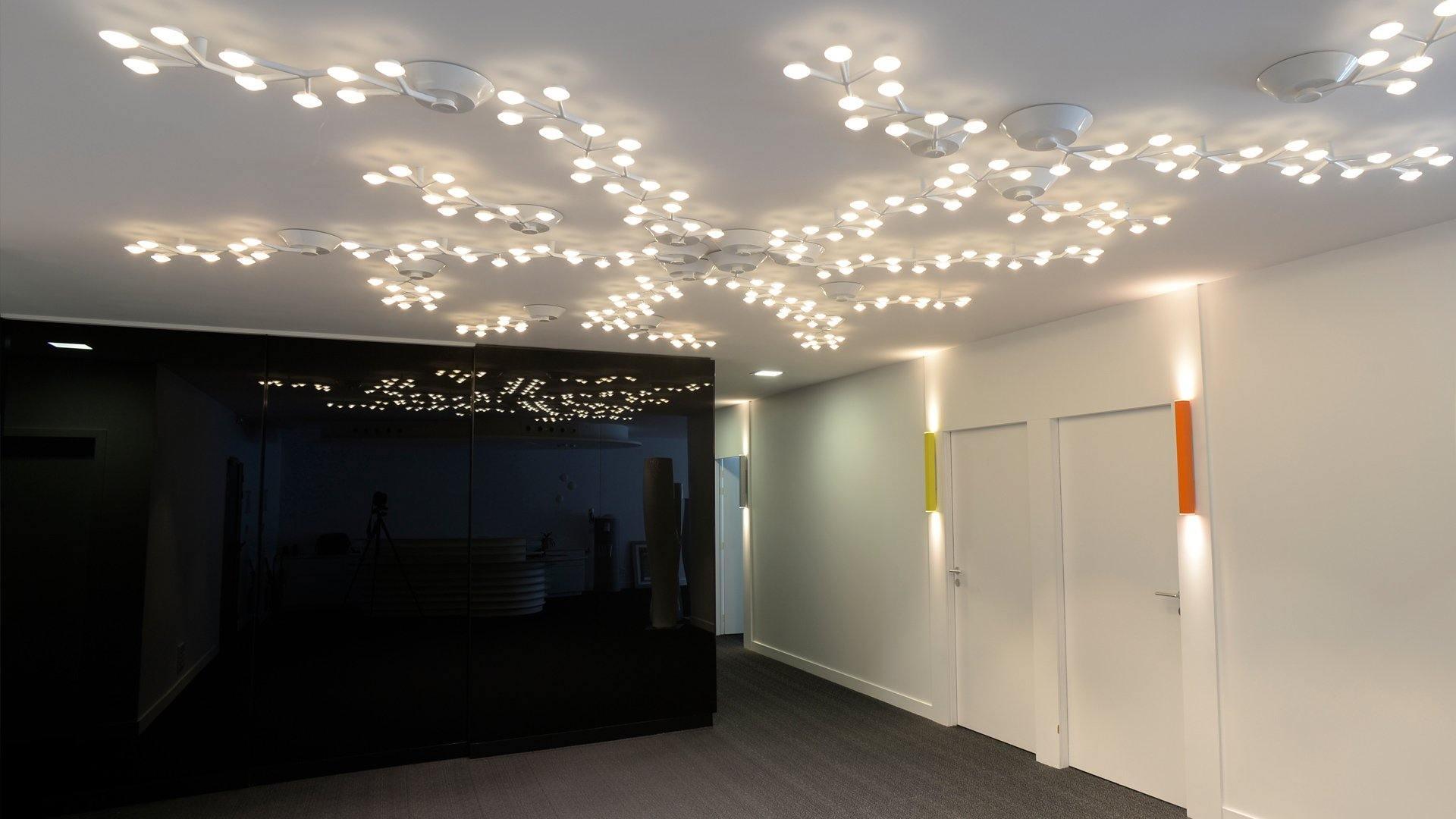LED Net Ceiling Lamp - Lumpaz