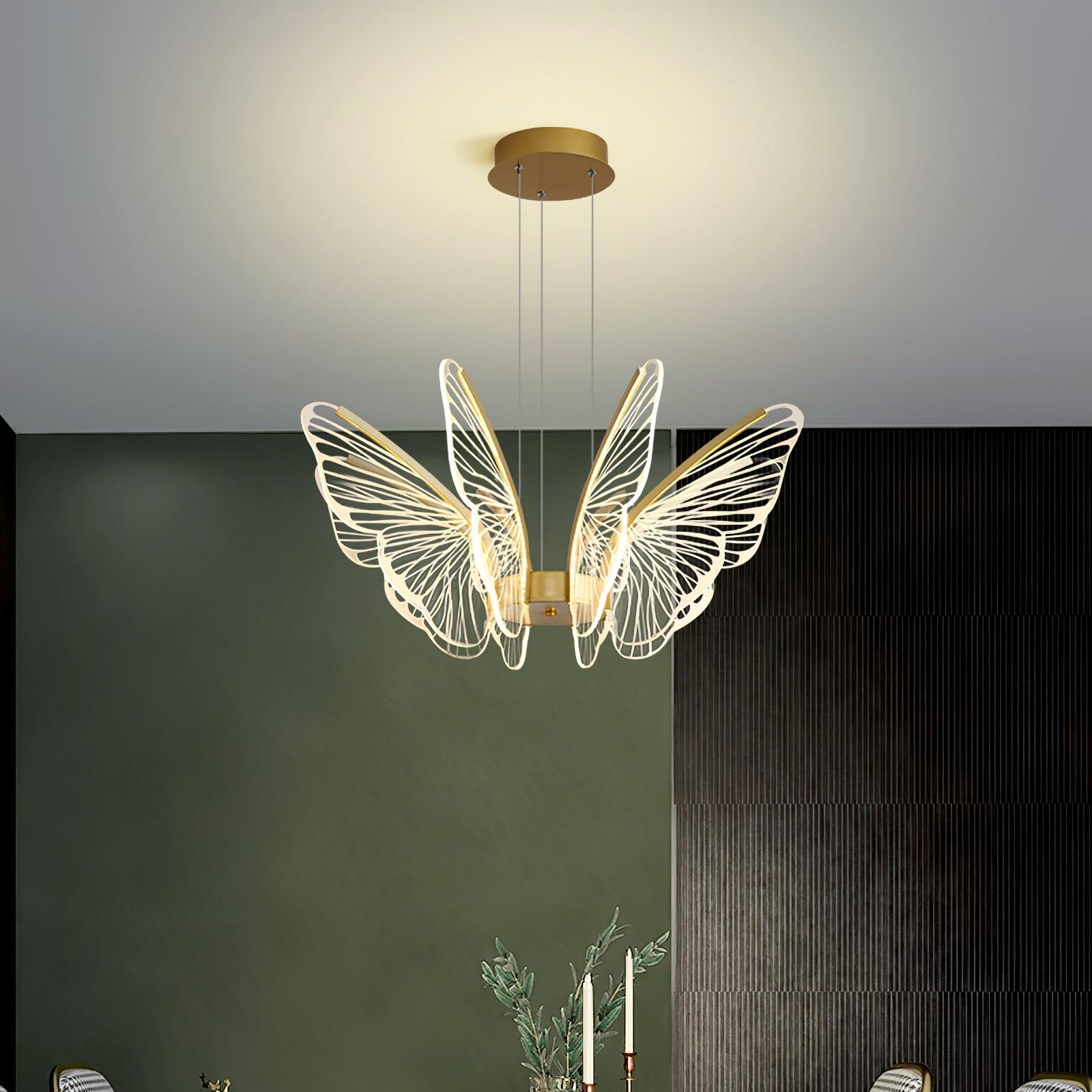 Phalaenopsis Chandelier - Lumpaz
