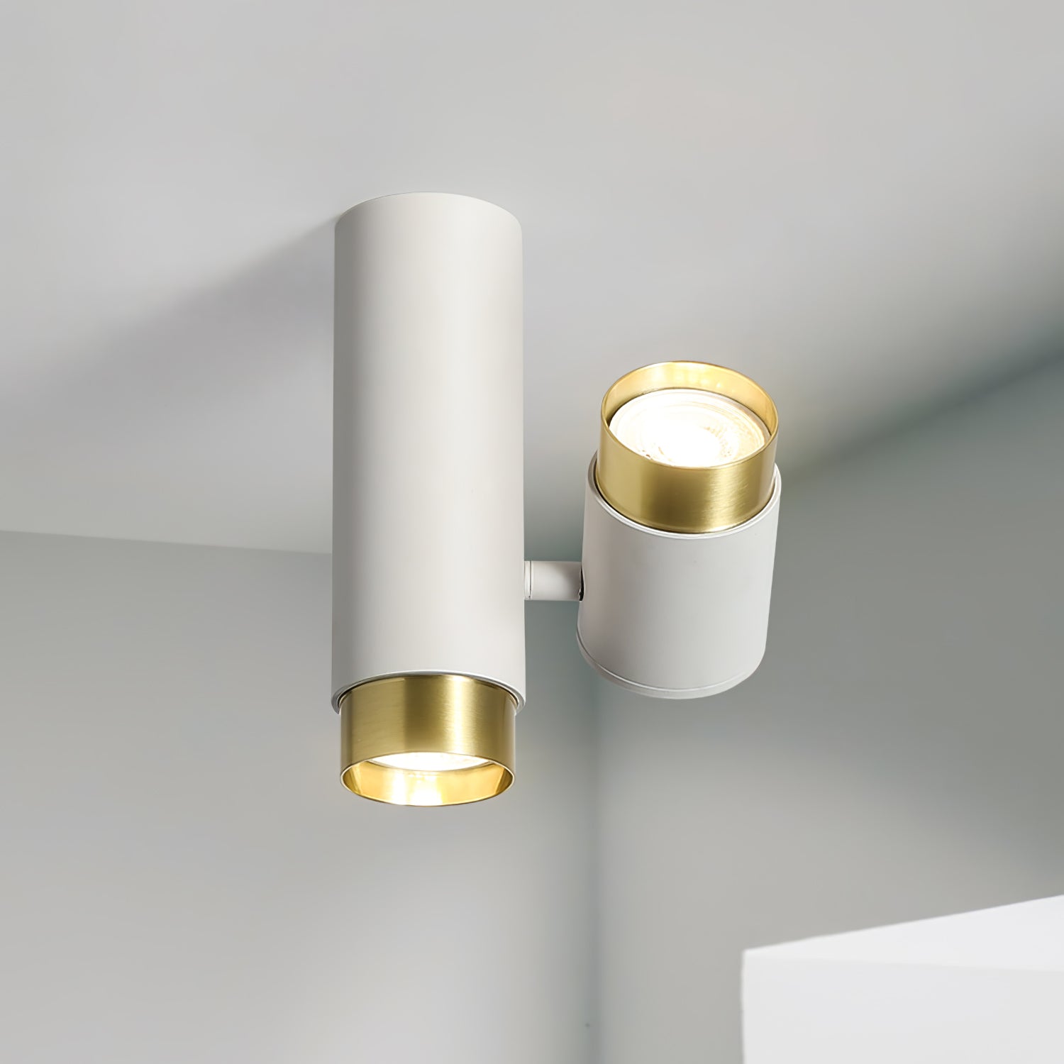 Puma Spotlight Ceiling Light - Lumpaz