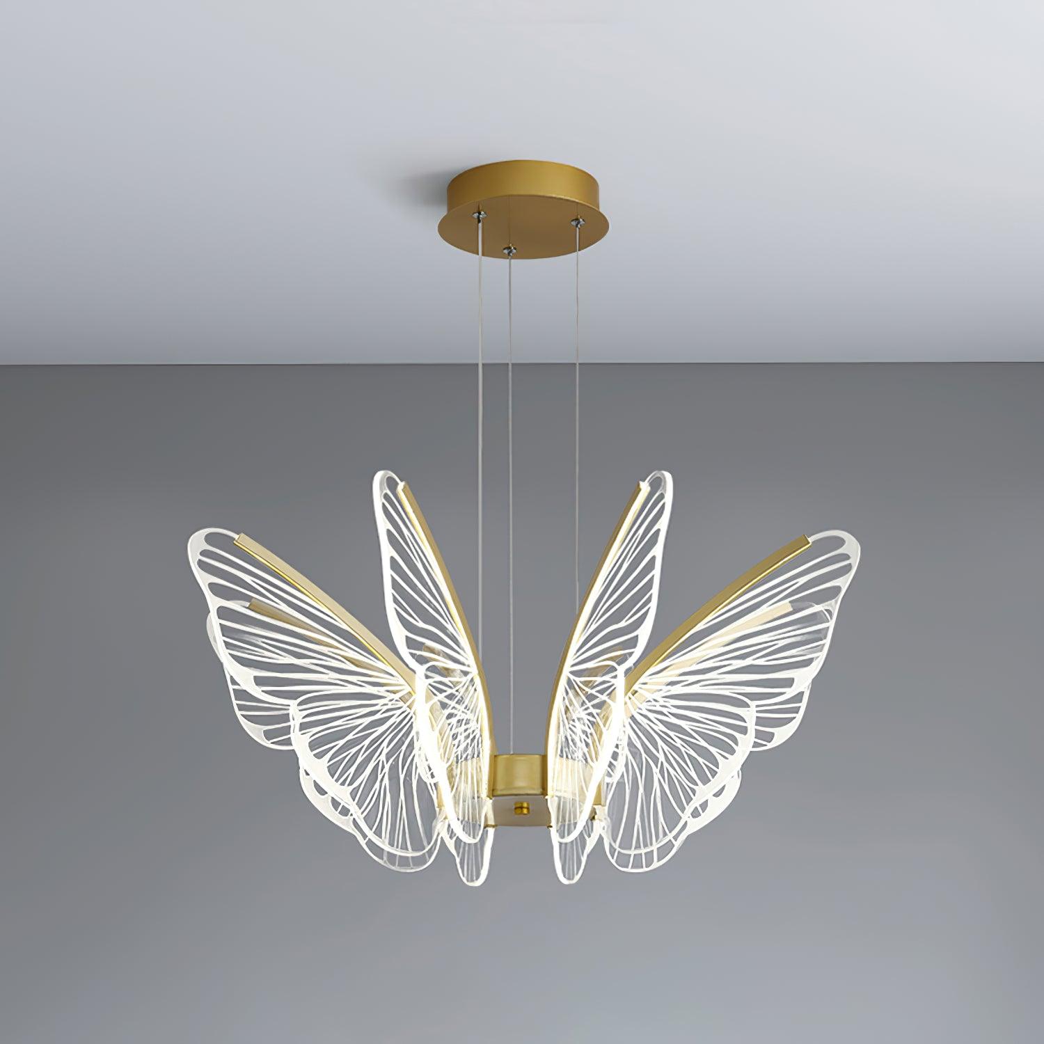 Phalaenopsis Chandelier - Lumpaz