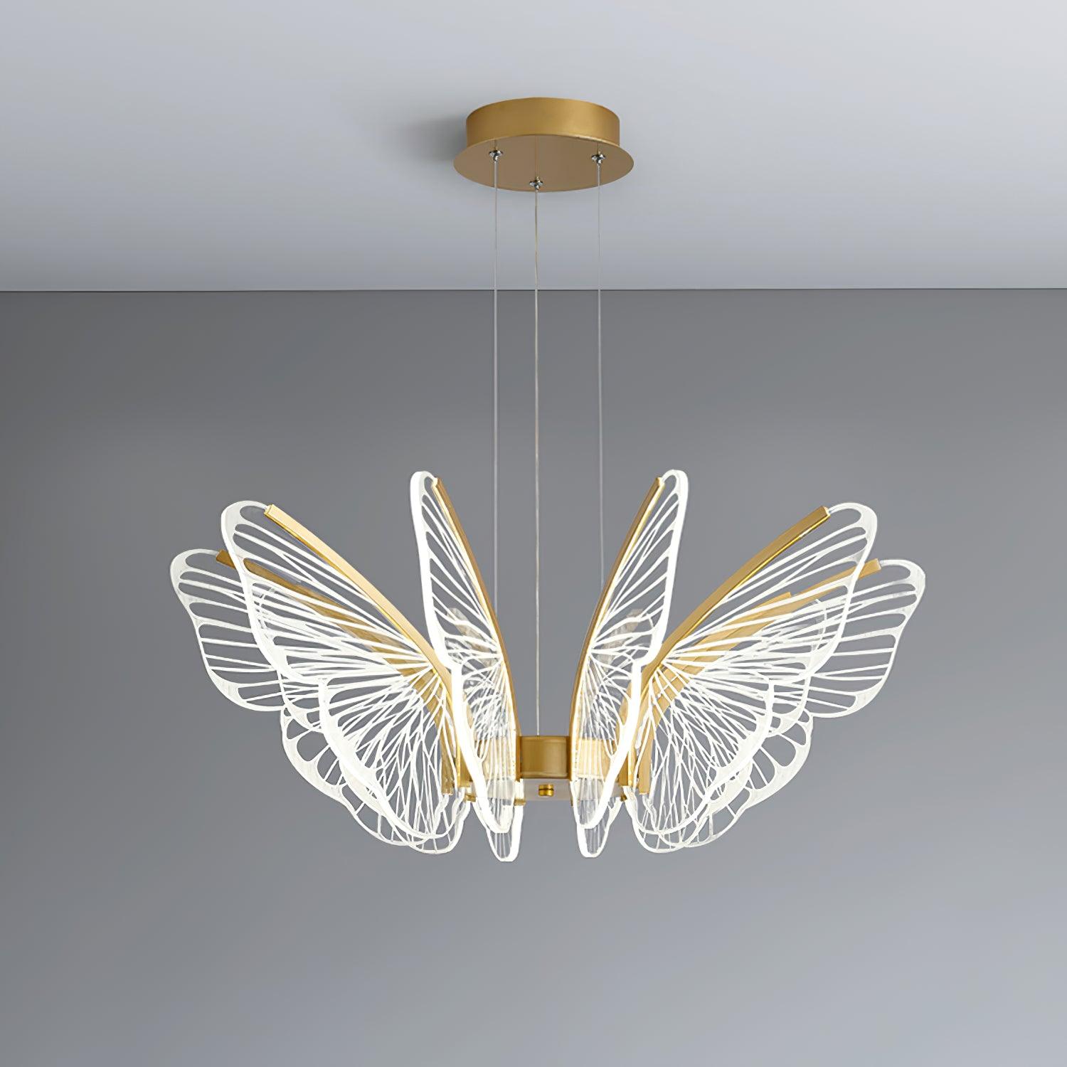 Phalaenopsis Chandelier - Lumpaz