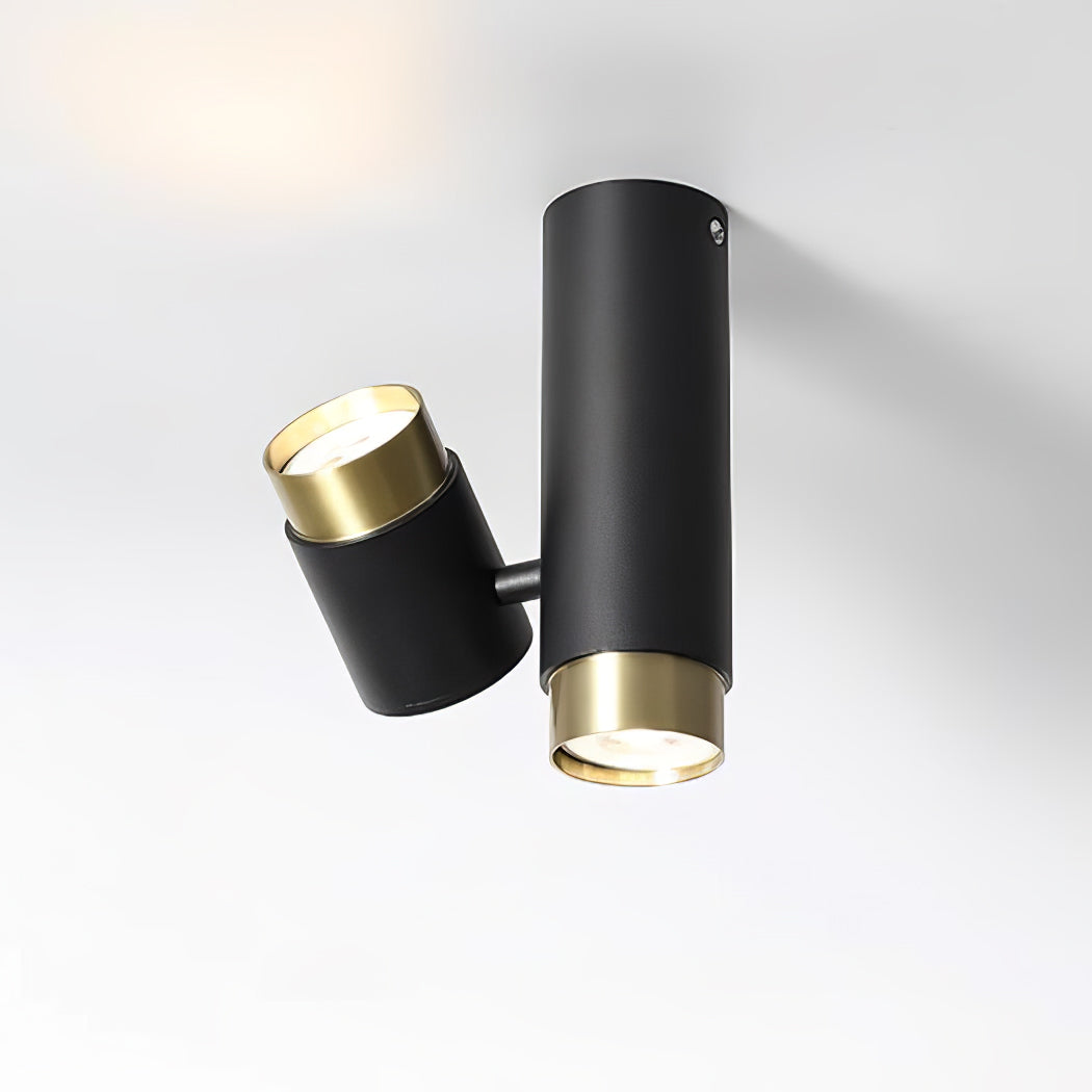 Puma Spotlight Ceiling Light - Lumpaz