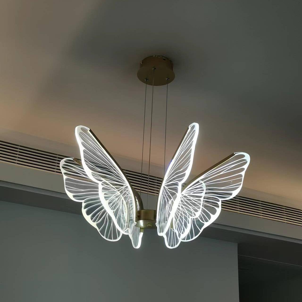 Phalaenopsis Chandelier - Lumpaz