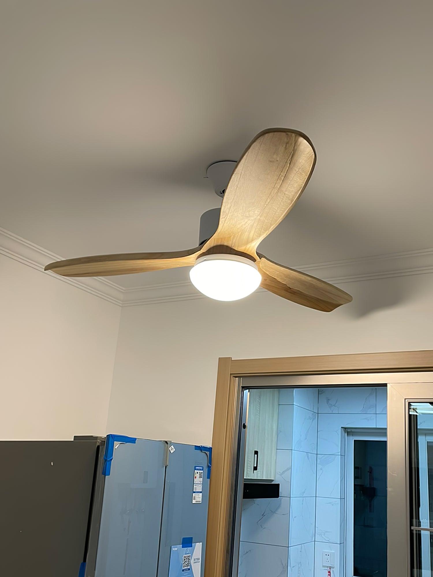 Harborough 3 Ceiling Fan Light - Lumpaz