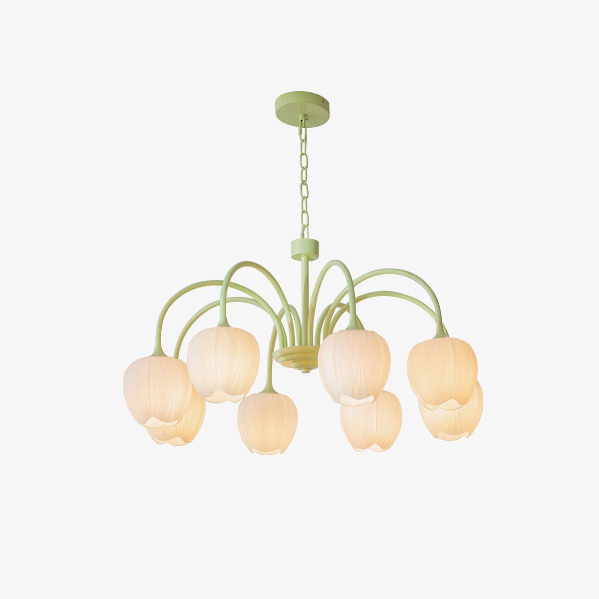 Tulip Matcha Chandelier - Lumpaz