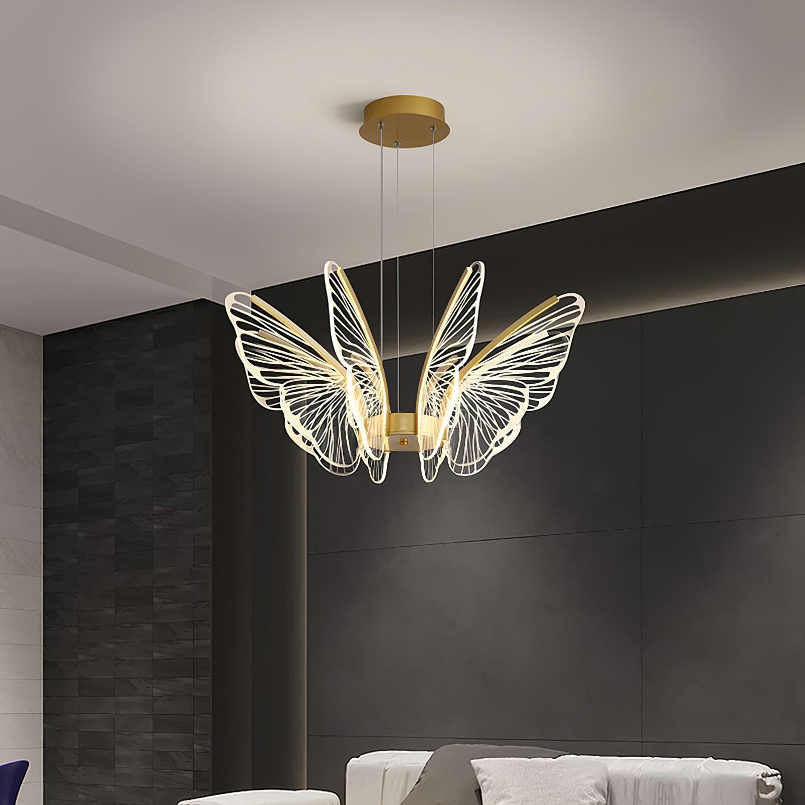Phalaenopsis Chandelier - Lumpaz