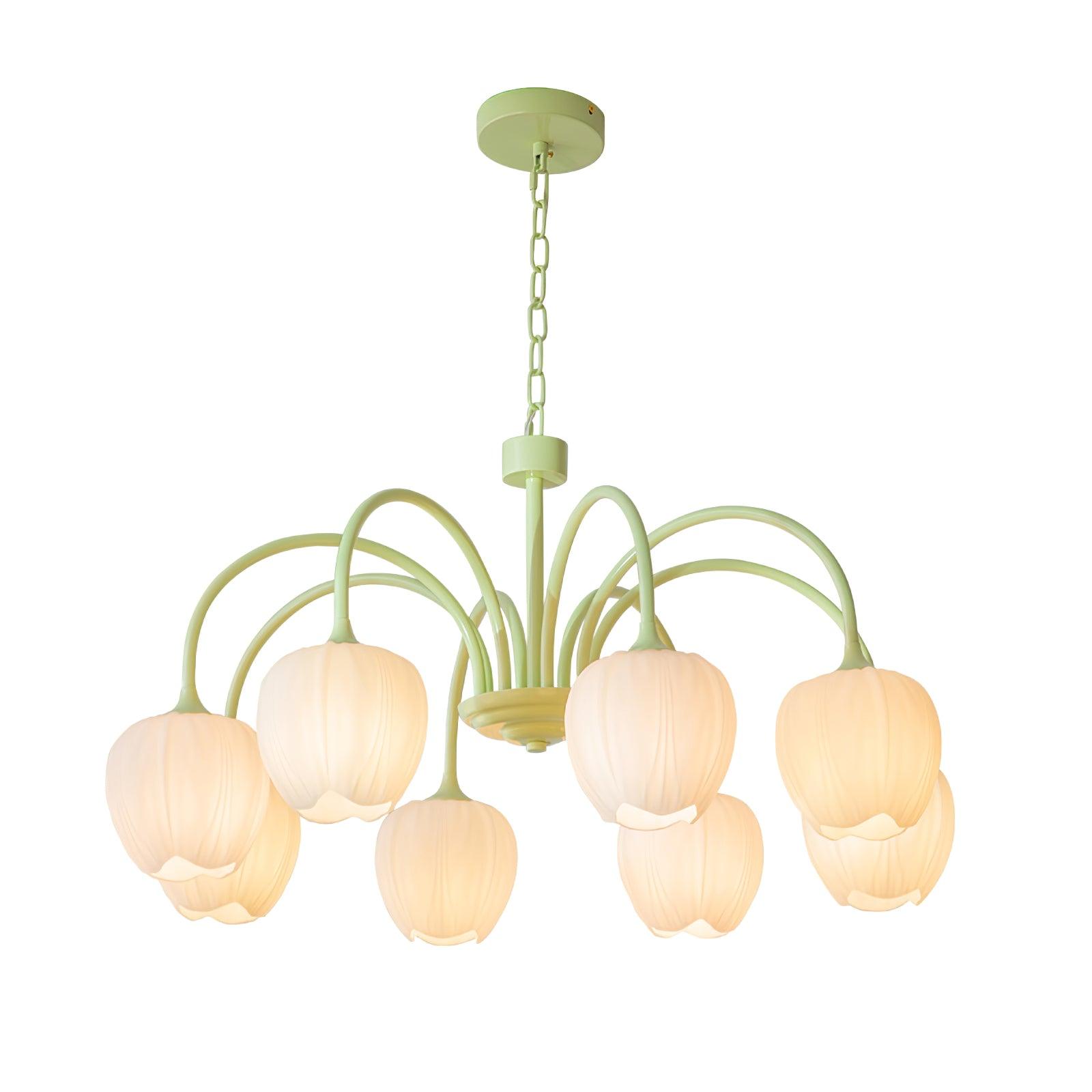 Tulip Matcha Chandelier - Lumpaz