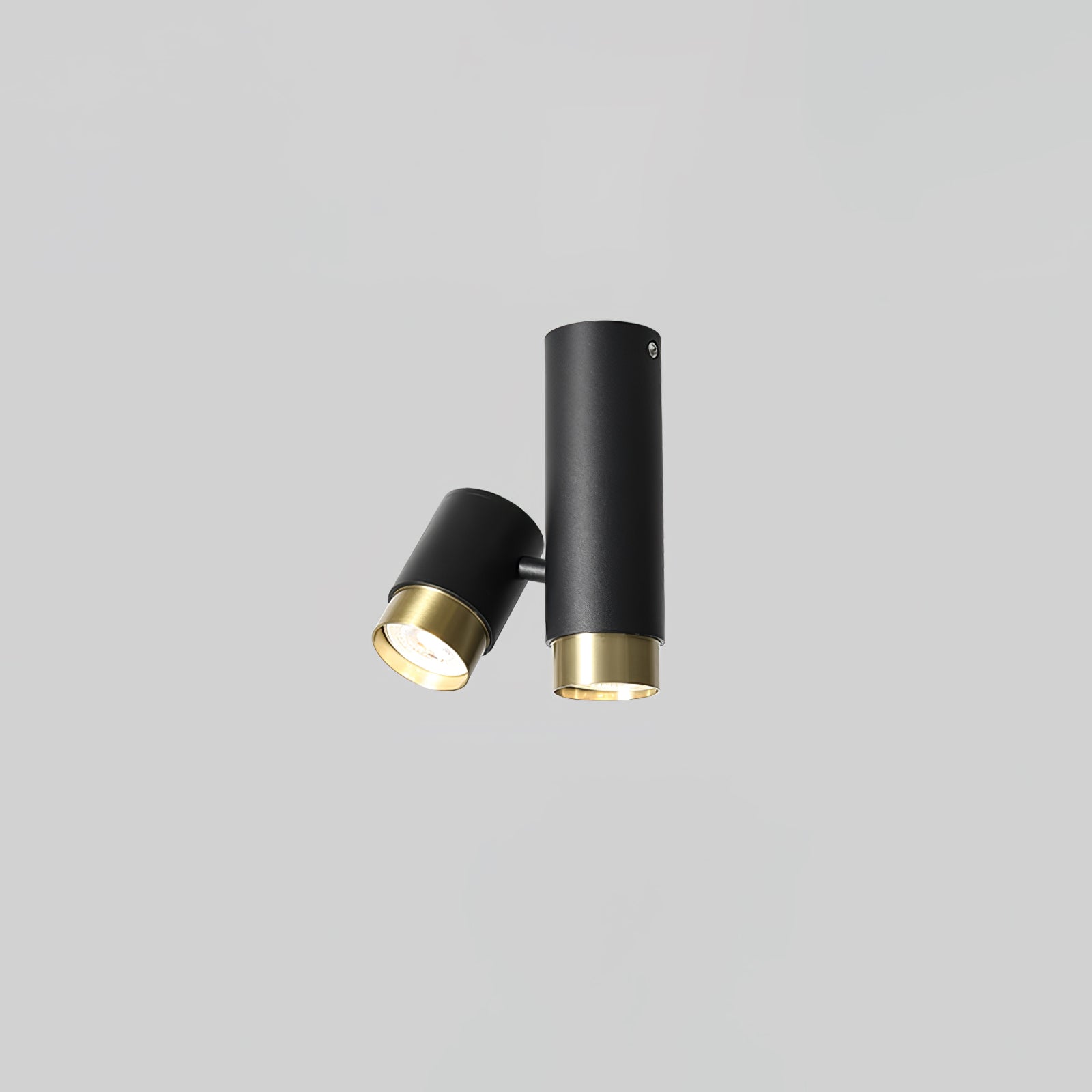 Puma Spotlight Ceiling Light - Lumpaz