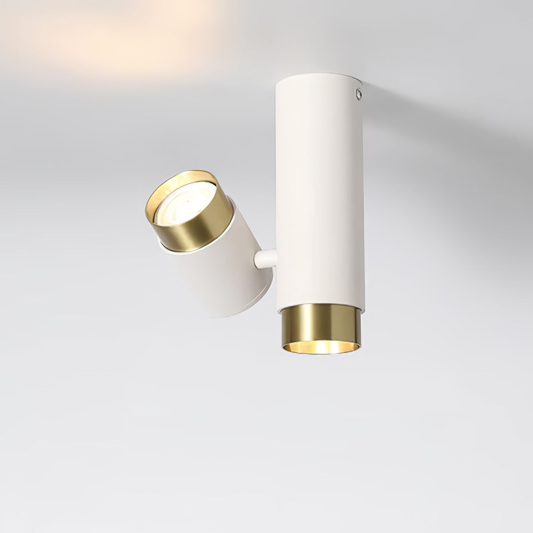 Puma Spotlight Ceiling Light - Lumpaz