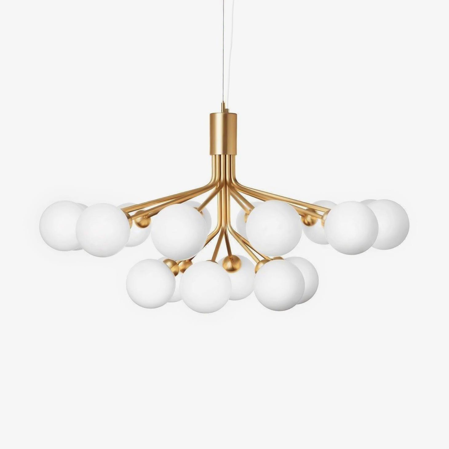 Apiales Chandelier - Lumpaz