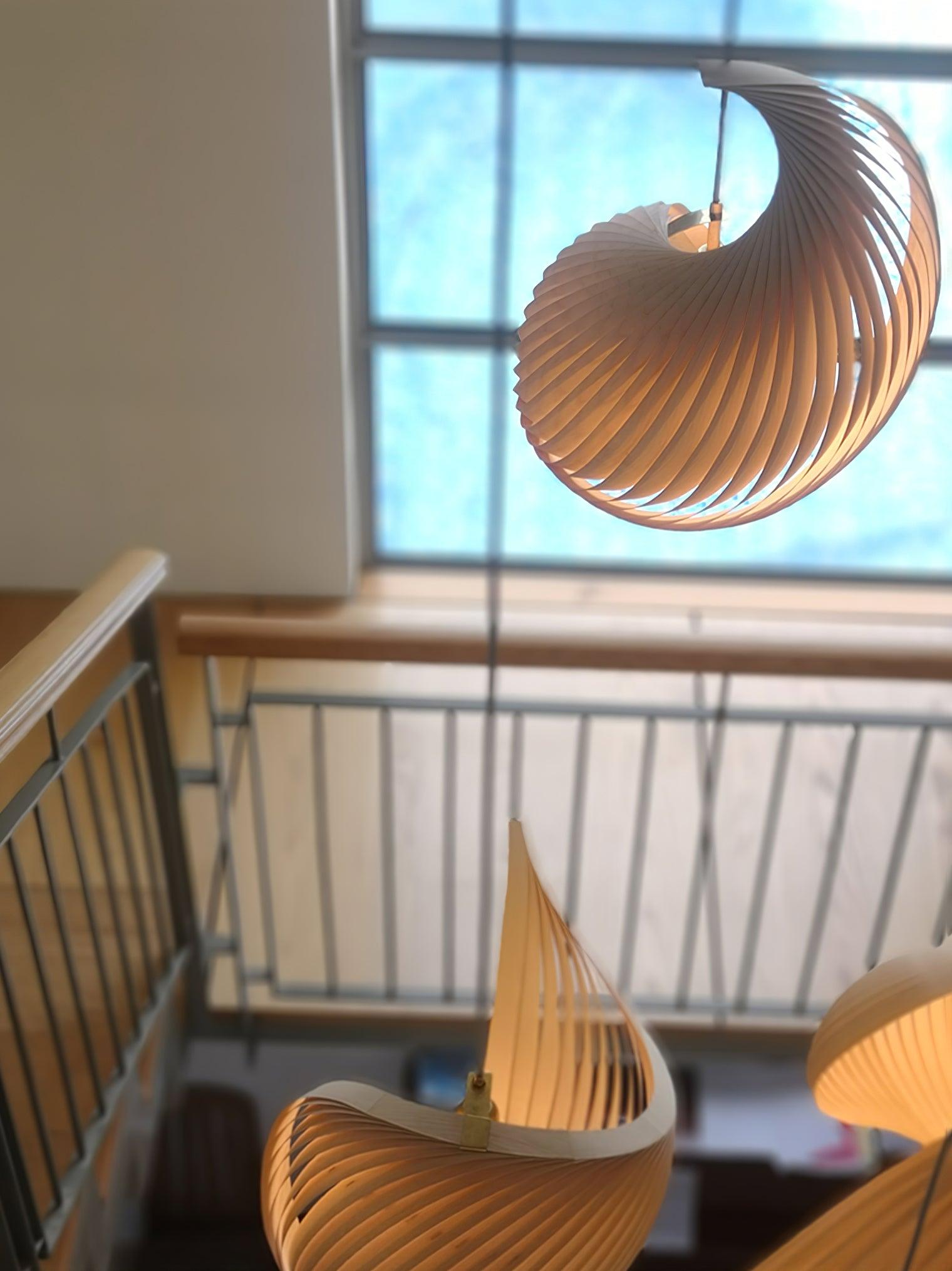 Nautilus Shell Pendant Light - Lumpaz