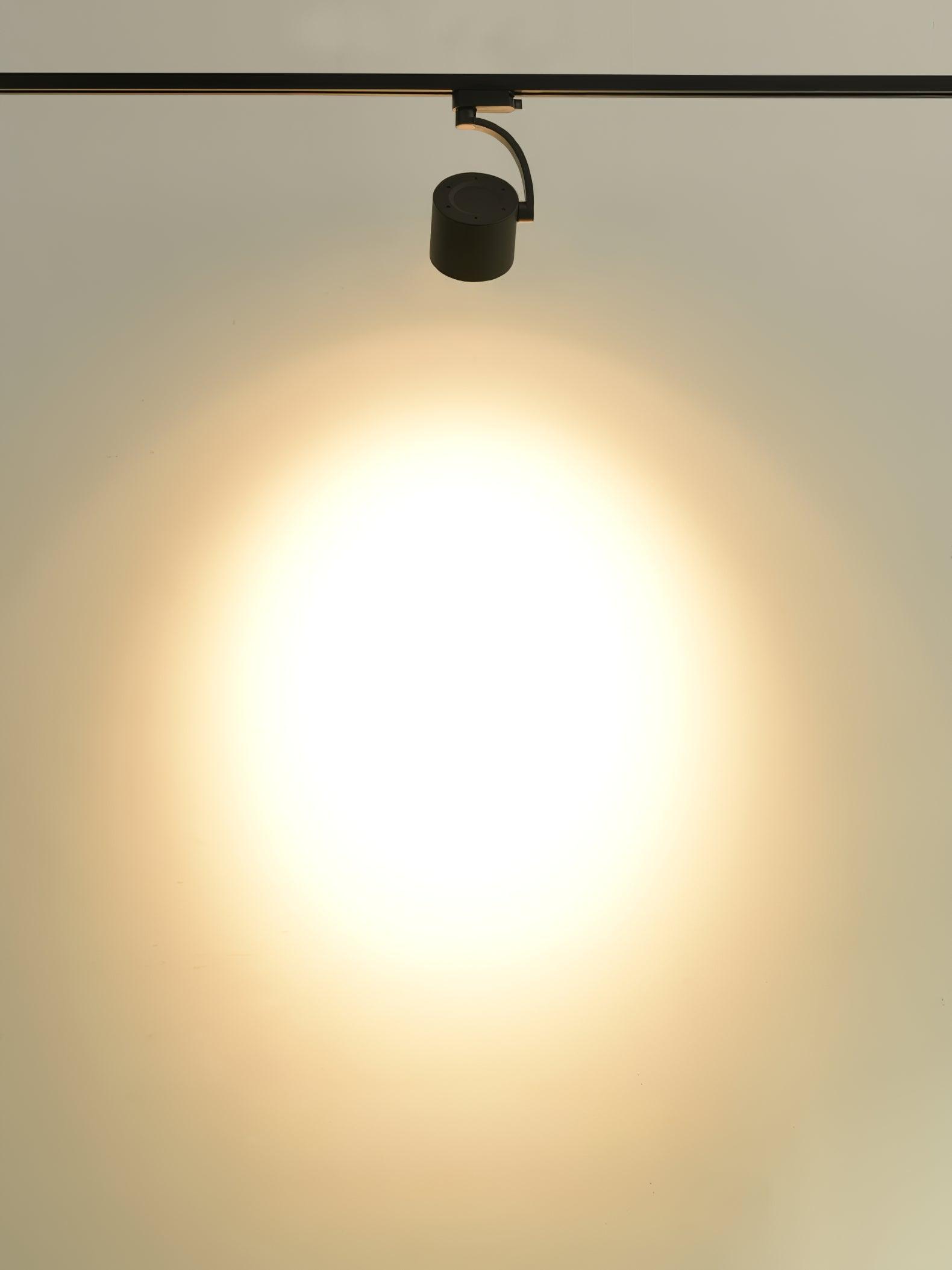 Paloma Ceiling Light - Lumpaz