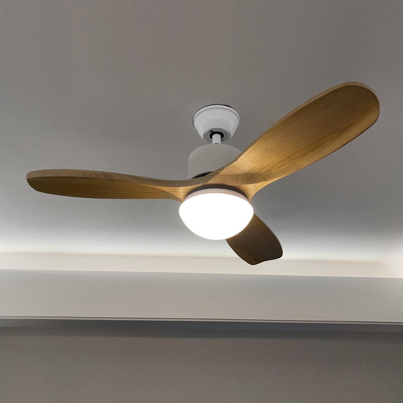 Harborough 3 Ceiling Fan Light - Lumpaz