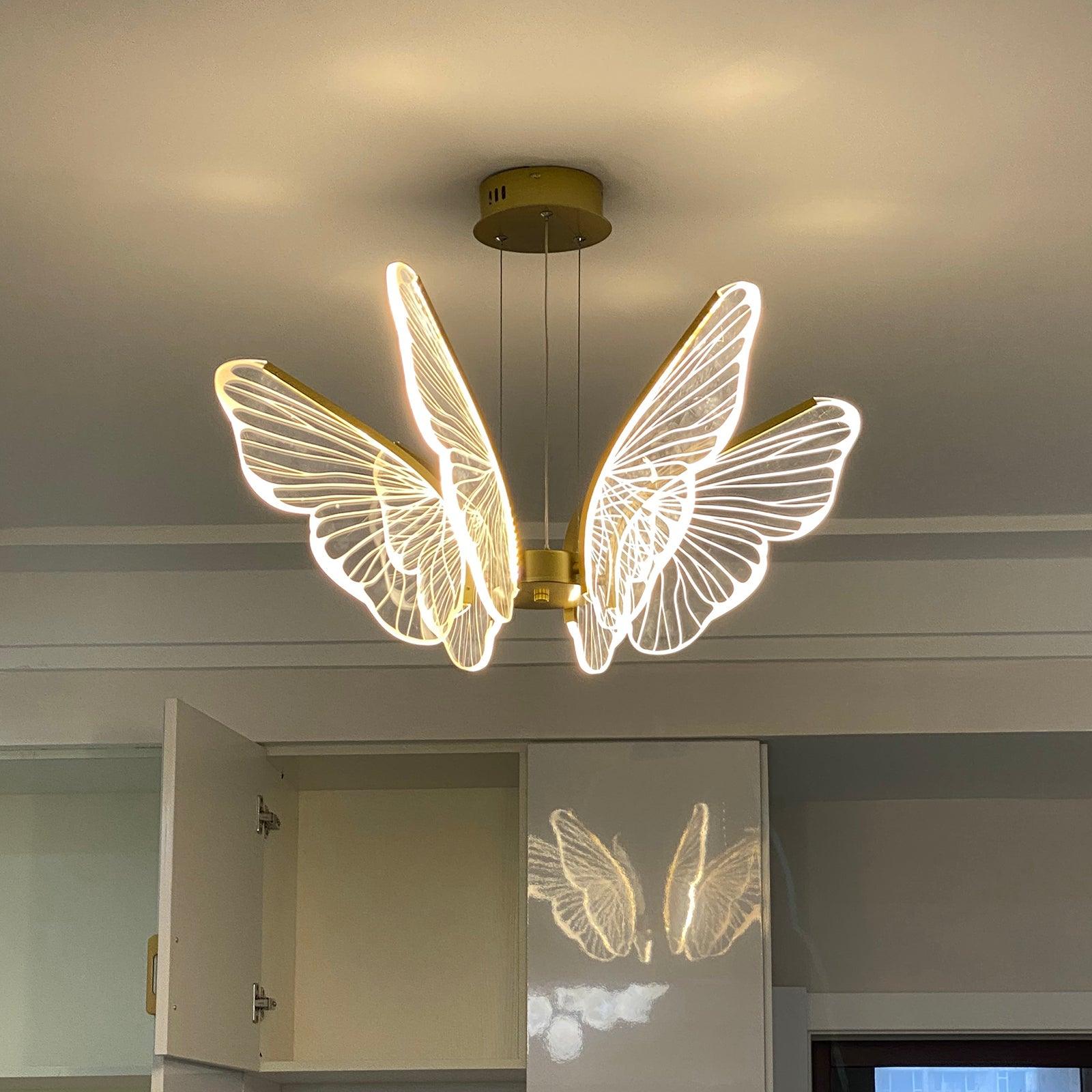 Phalaenopsis Chandelier - Lumpaz