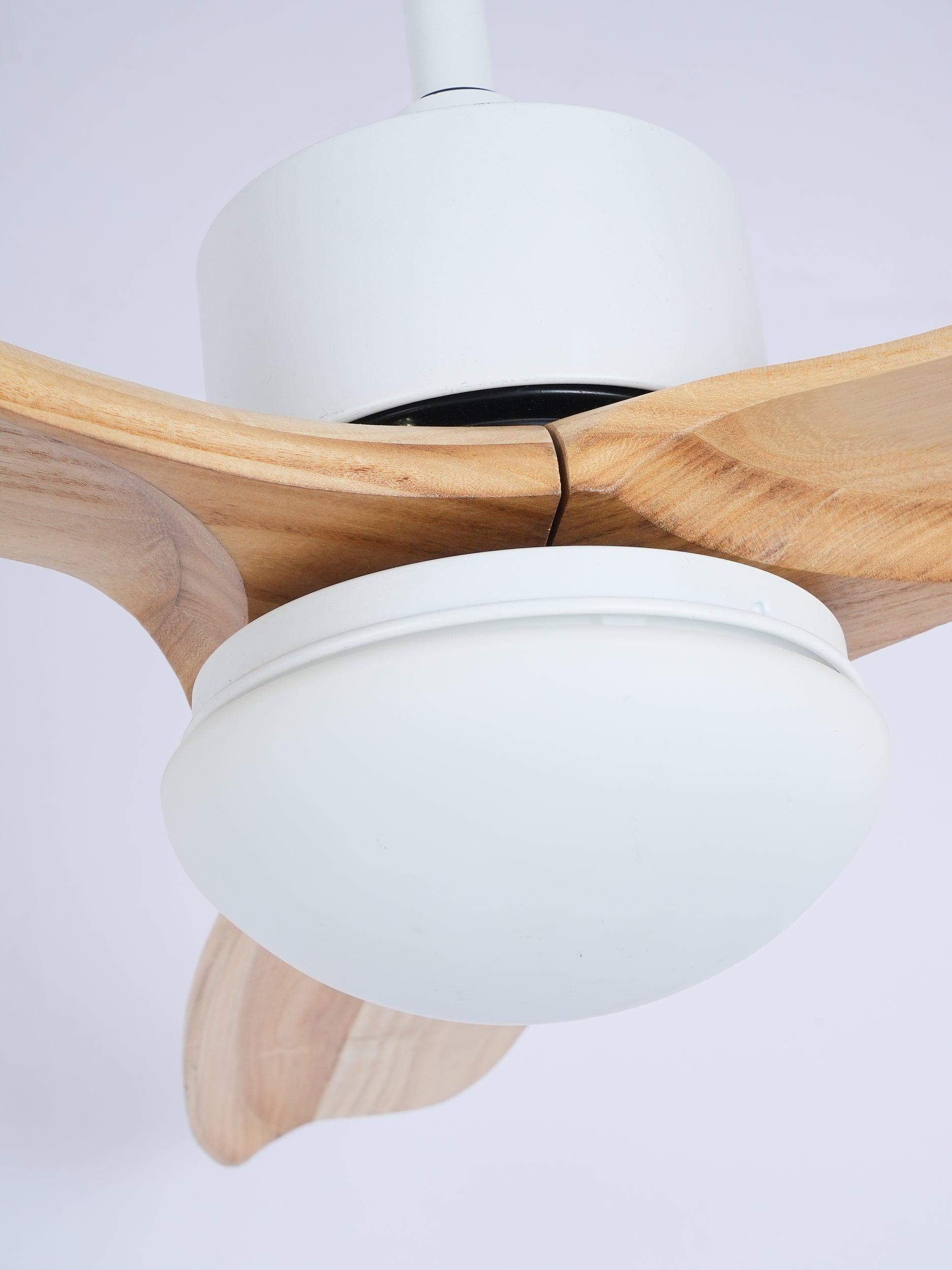 Harborough 3 Ceiling Fan Light - Lumpaz