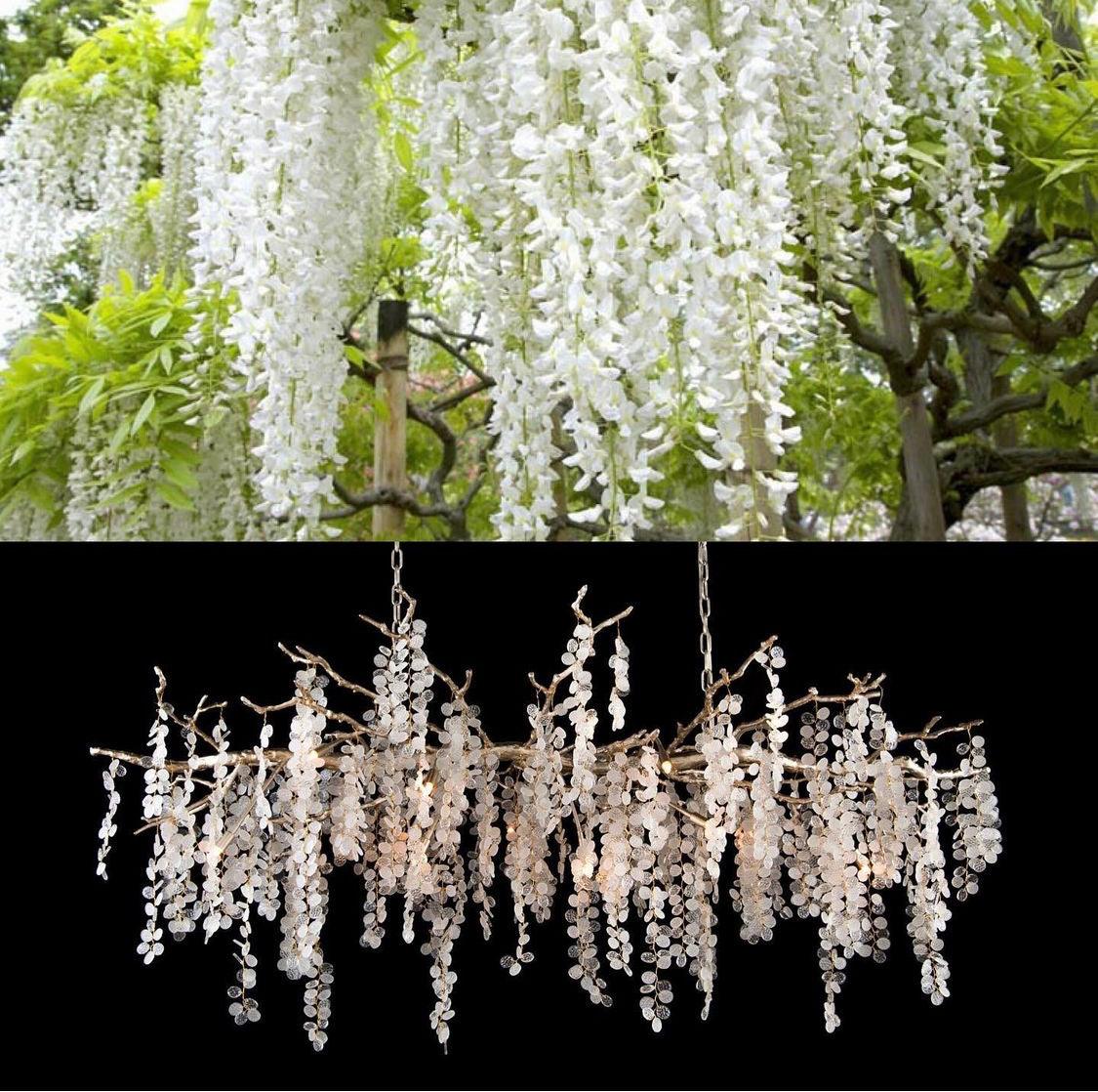 Shiro Noda Crystal Chandelier - Lumpaz