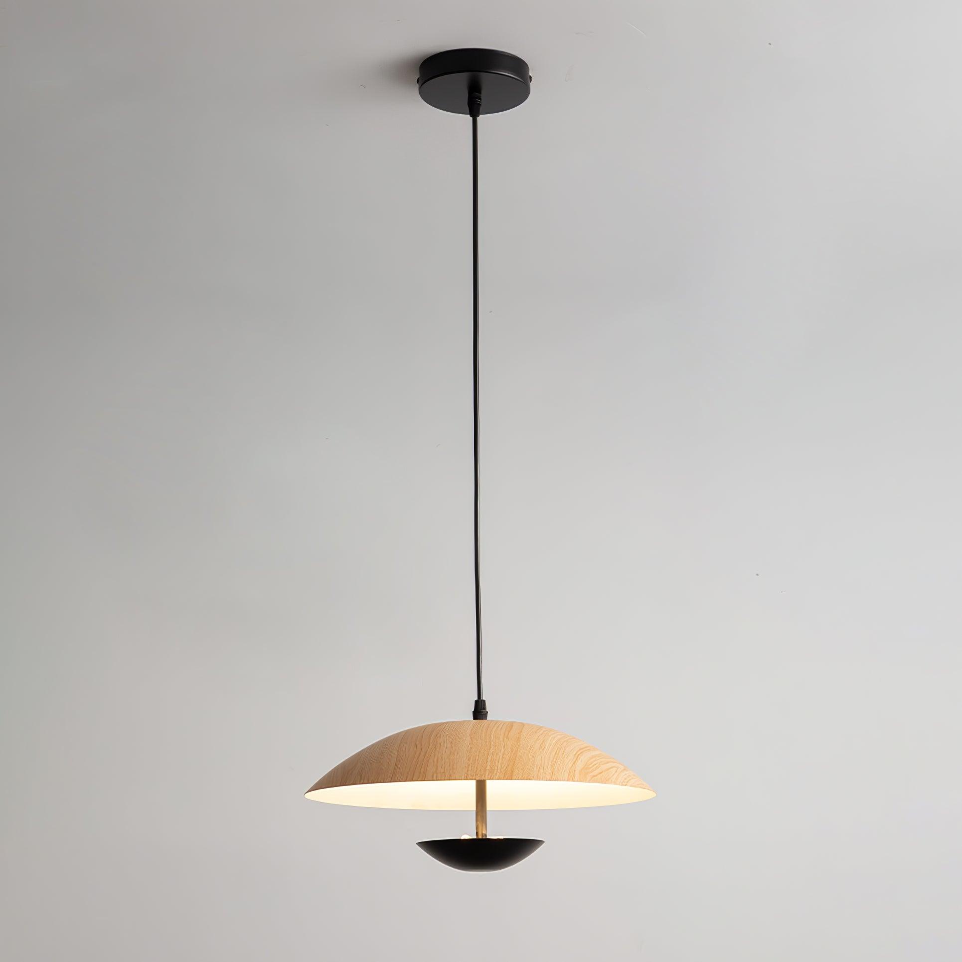 Frisbee Pendant Lamp - Lumpaz