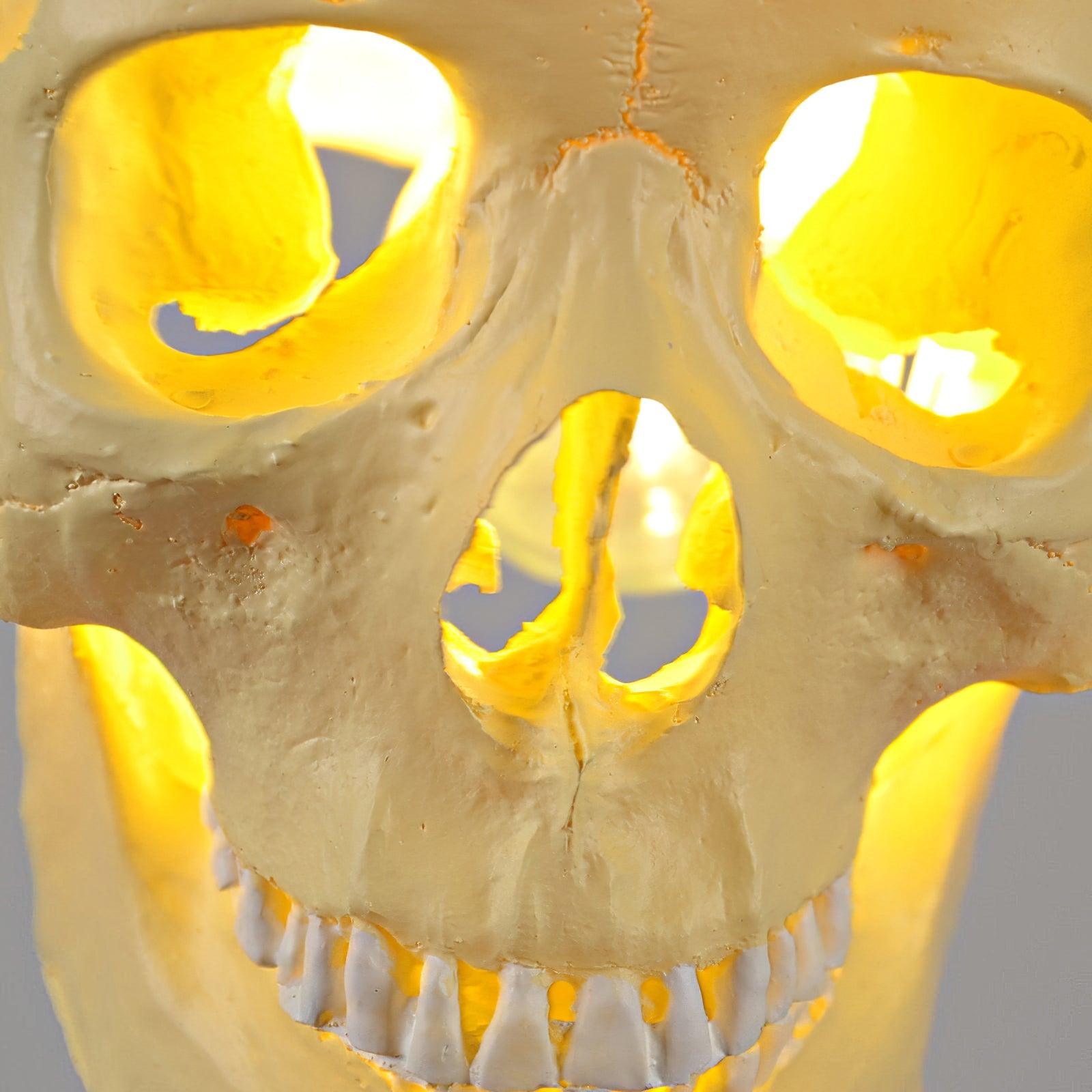 Skull Pendant Light - Lumpaz