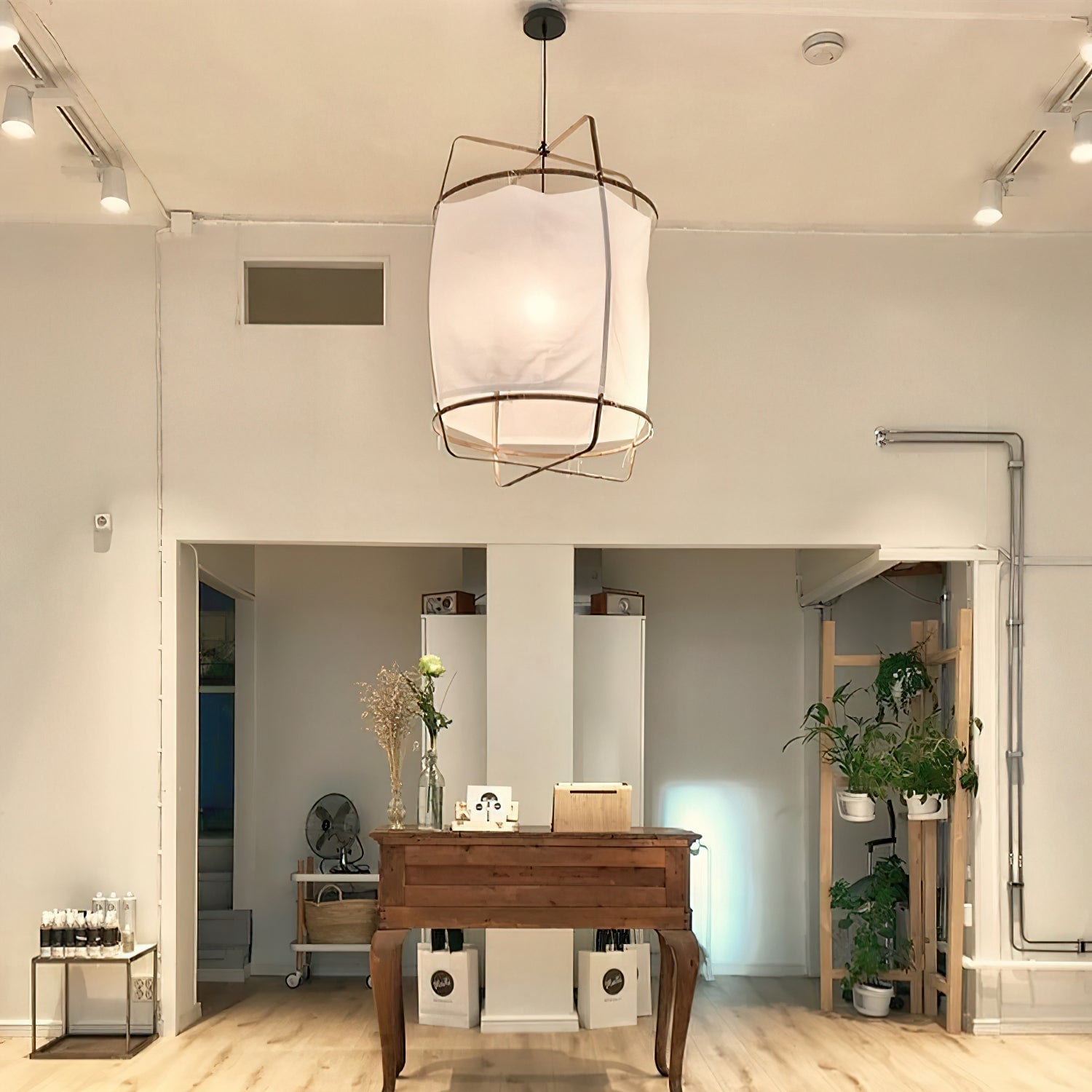 Ay illuminate Pendant Light - Lumpaz