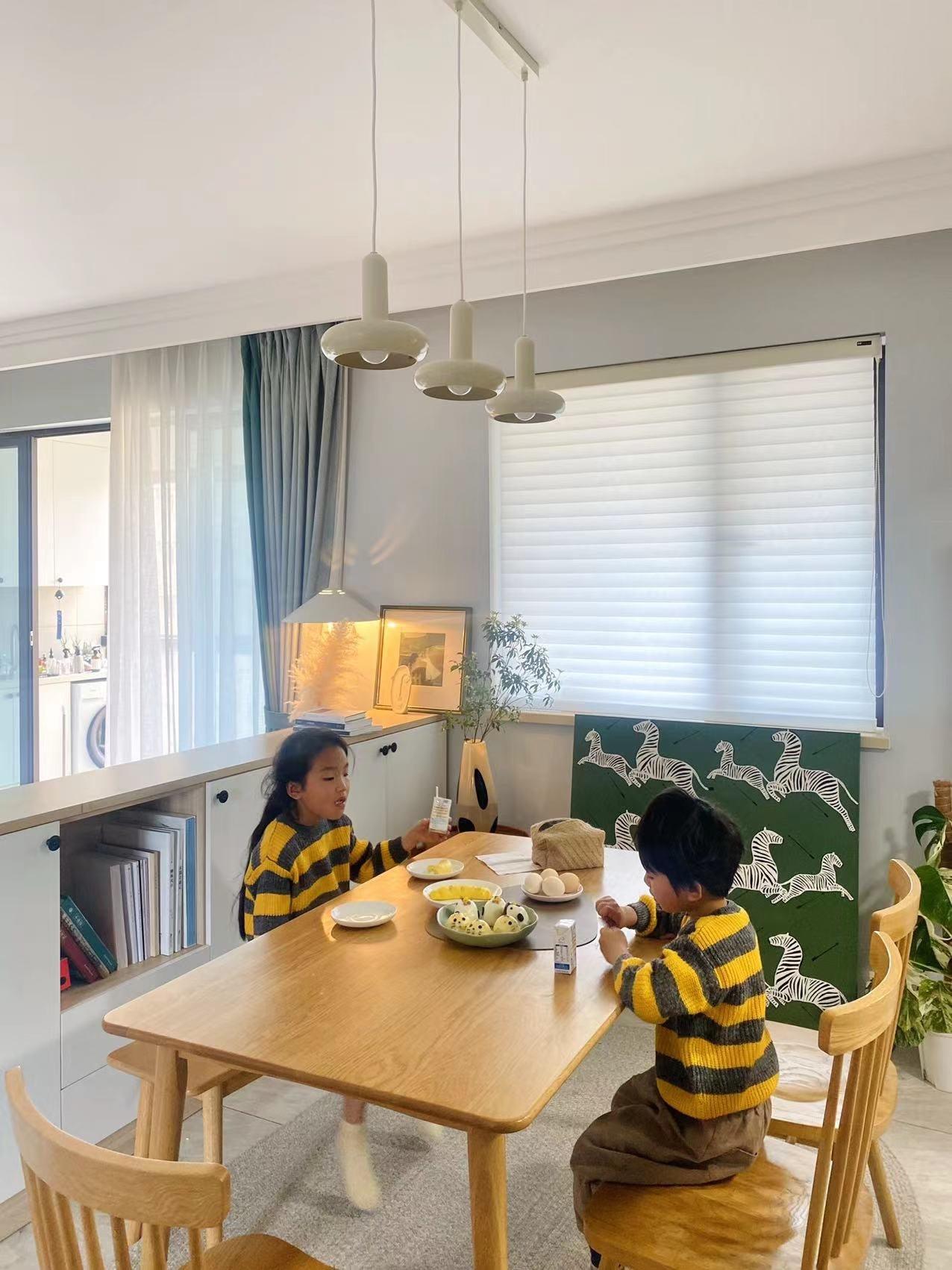 Puck Pendant Light - Lumpaz