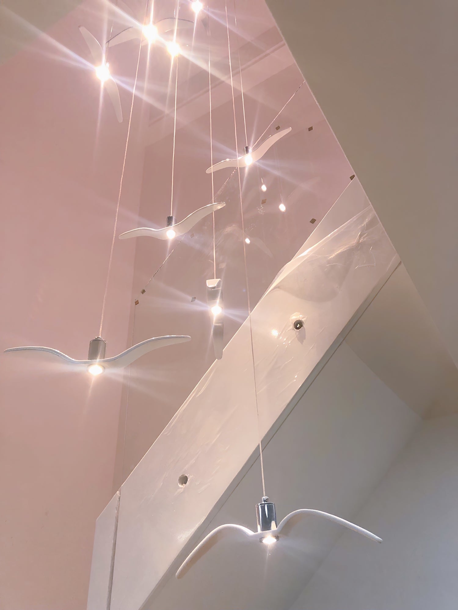 Seagull Resin Pendant Light - Lumpaz