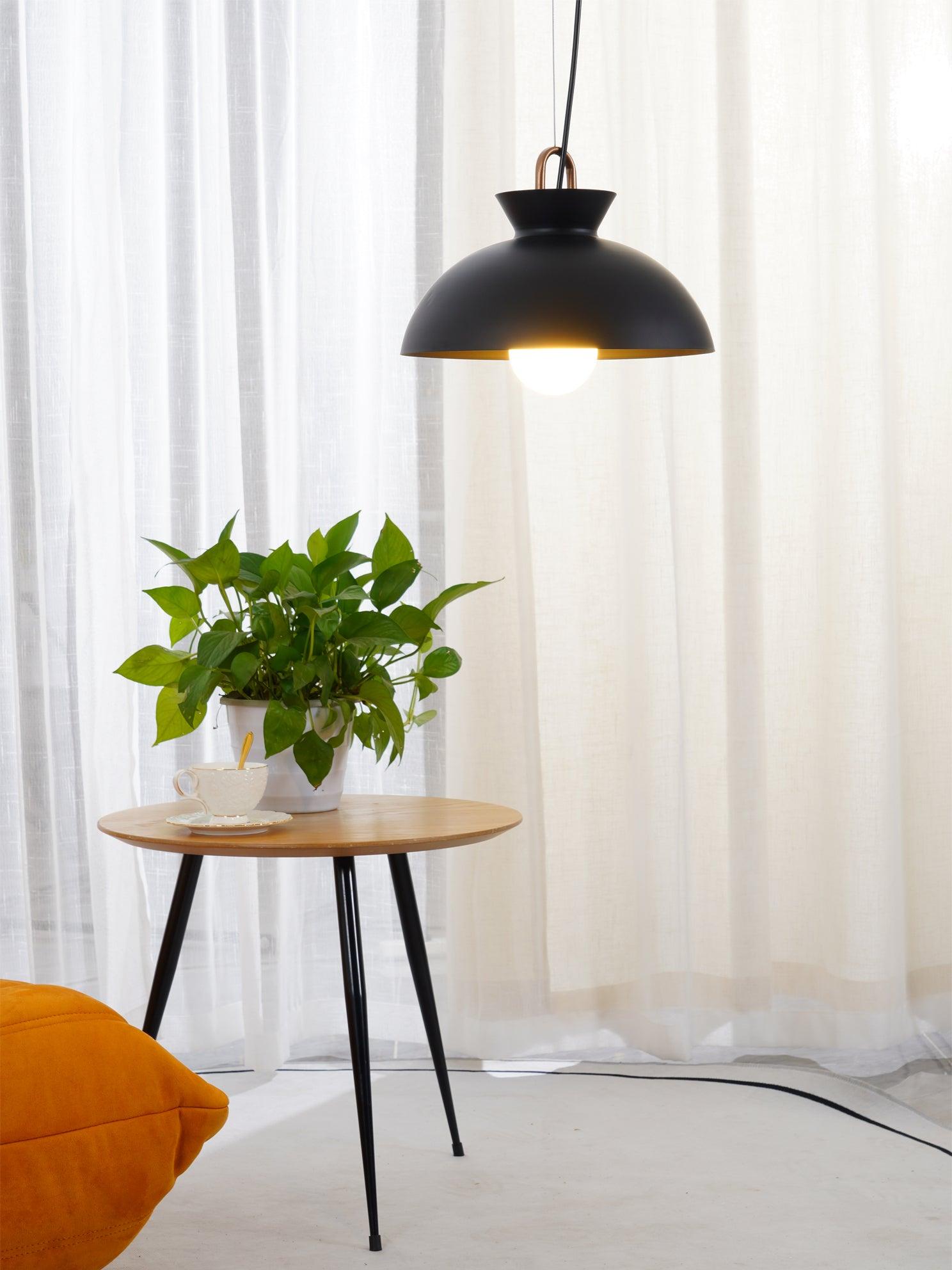 Coil Ceiling Pendant Light - Lumpaz
