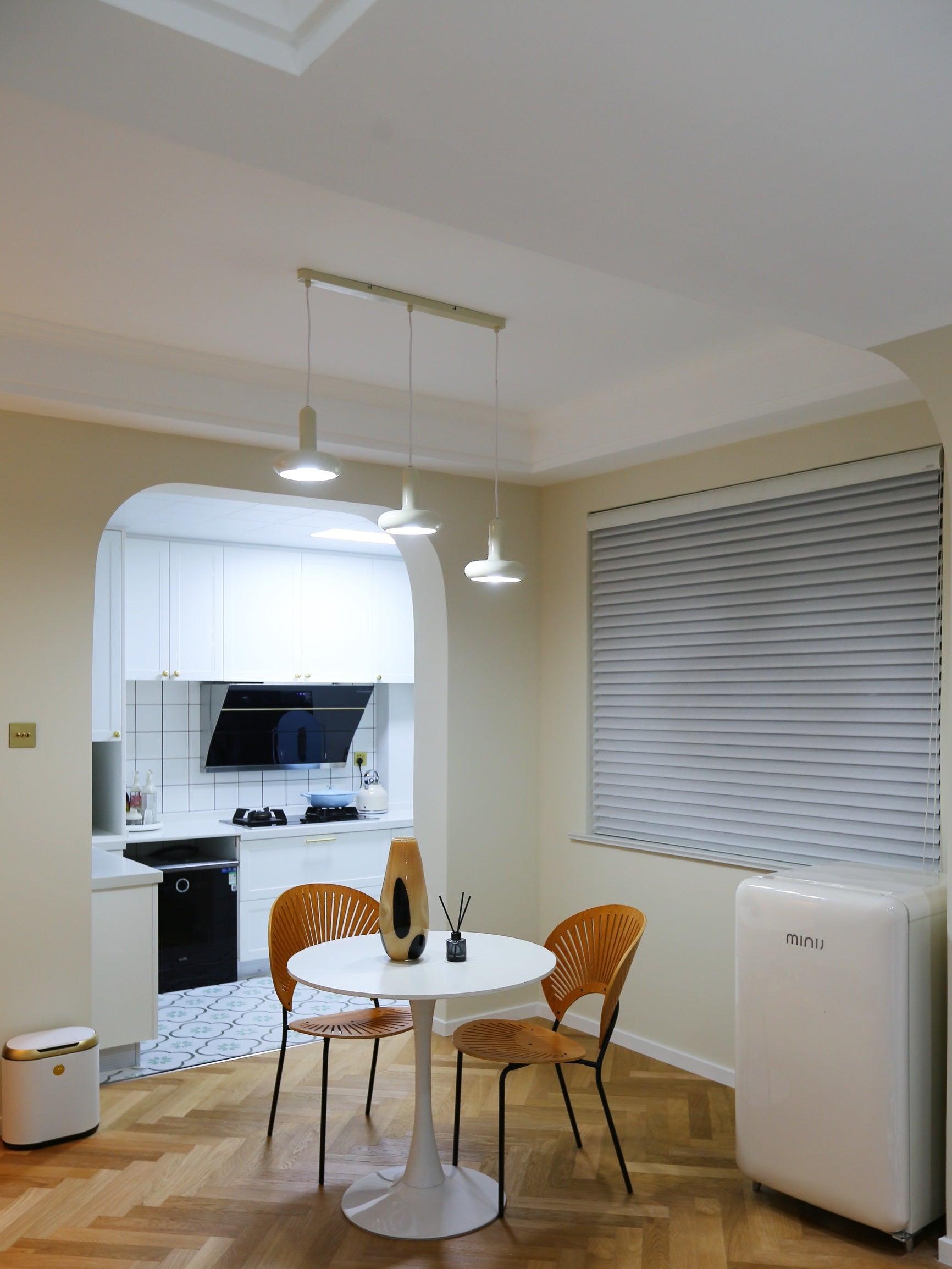 Puck Pendant Light - Lumpaz