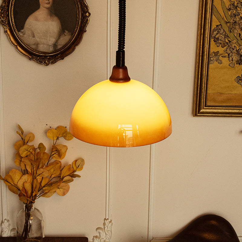 Hailie Retro LED Round Pendant Light Adjustable Dining Room Brown - Lumpaz