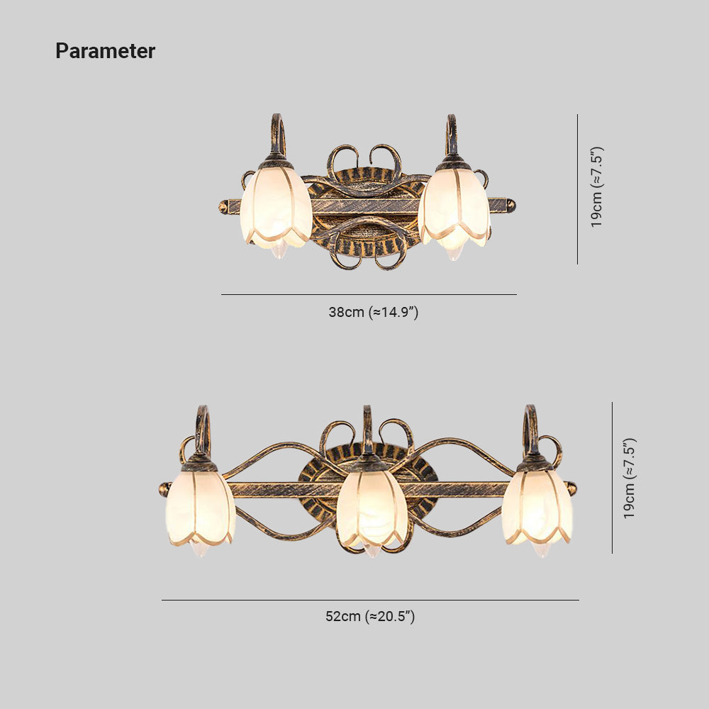 Félicie Antique Brass Flower Mirror Front Vanity Wall Lamp - Lumpaz