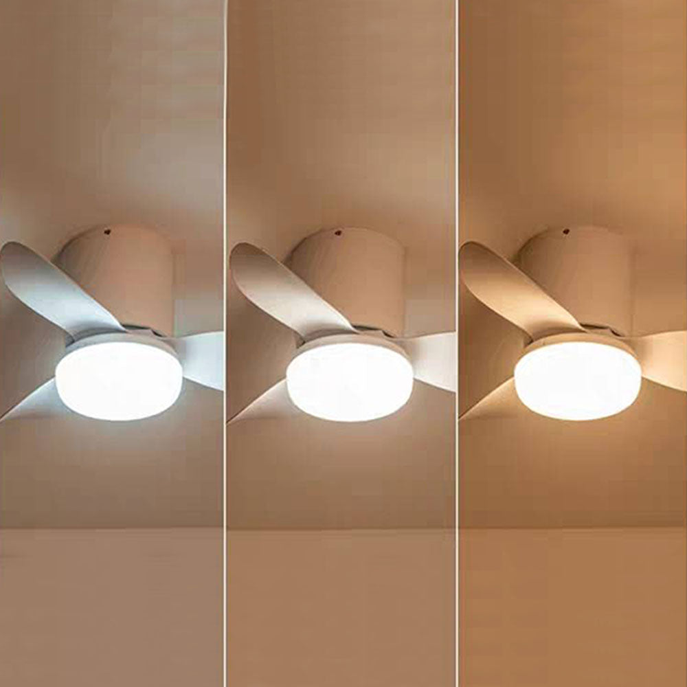 Walters 3-Blade Ceiling Fan with Light, 3 Color, DIA 23.62'' - Lumpaz