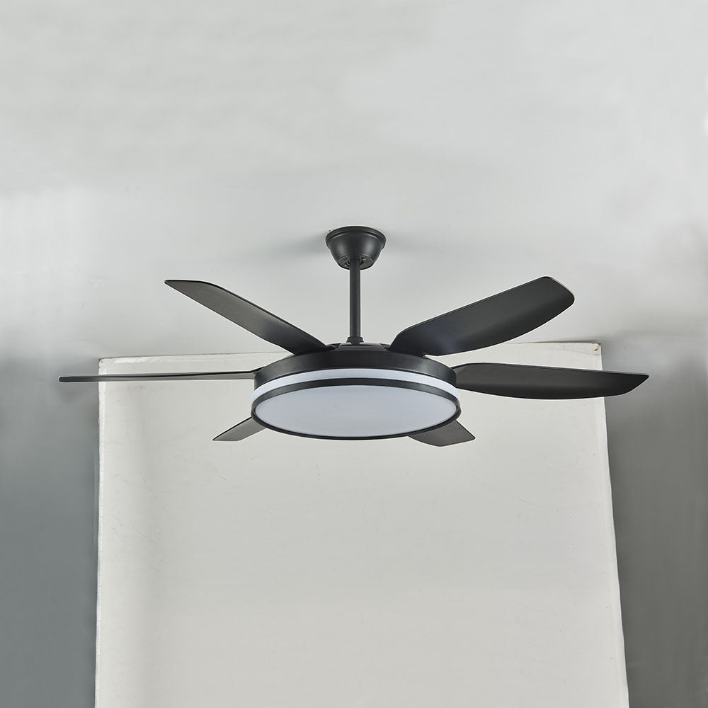 Haydn 6-Blade DC Ceiling Fan with Light, Black & White, 51'' - Lumpaz