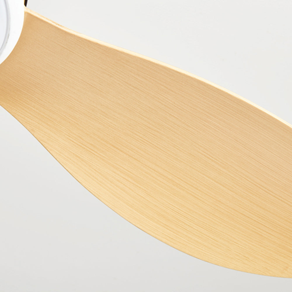 Ozawa 5-Blade Modern Wood DC Ceiling Fan with Light, 47.2''/51.2'' - Lumpaz