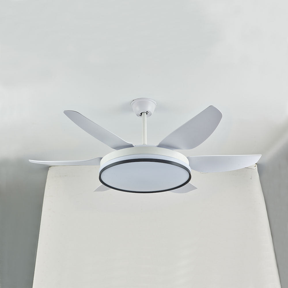 Haydn 6-Blade DC Ceiling Fan with Light, Black & White, 51'' - Lumpaz