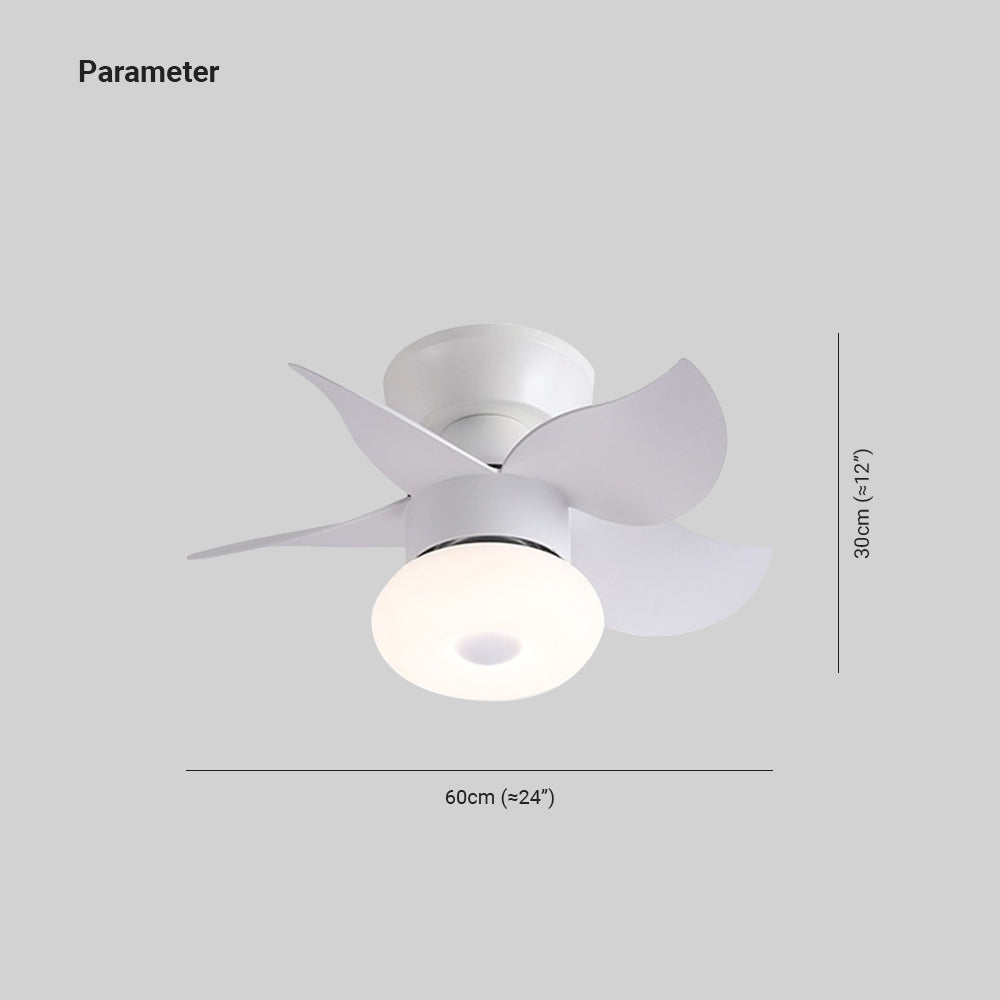 Morandi 5-Blade Ceiling Fan with Light, 3 Color, 24'' - Lumpaz