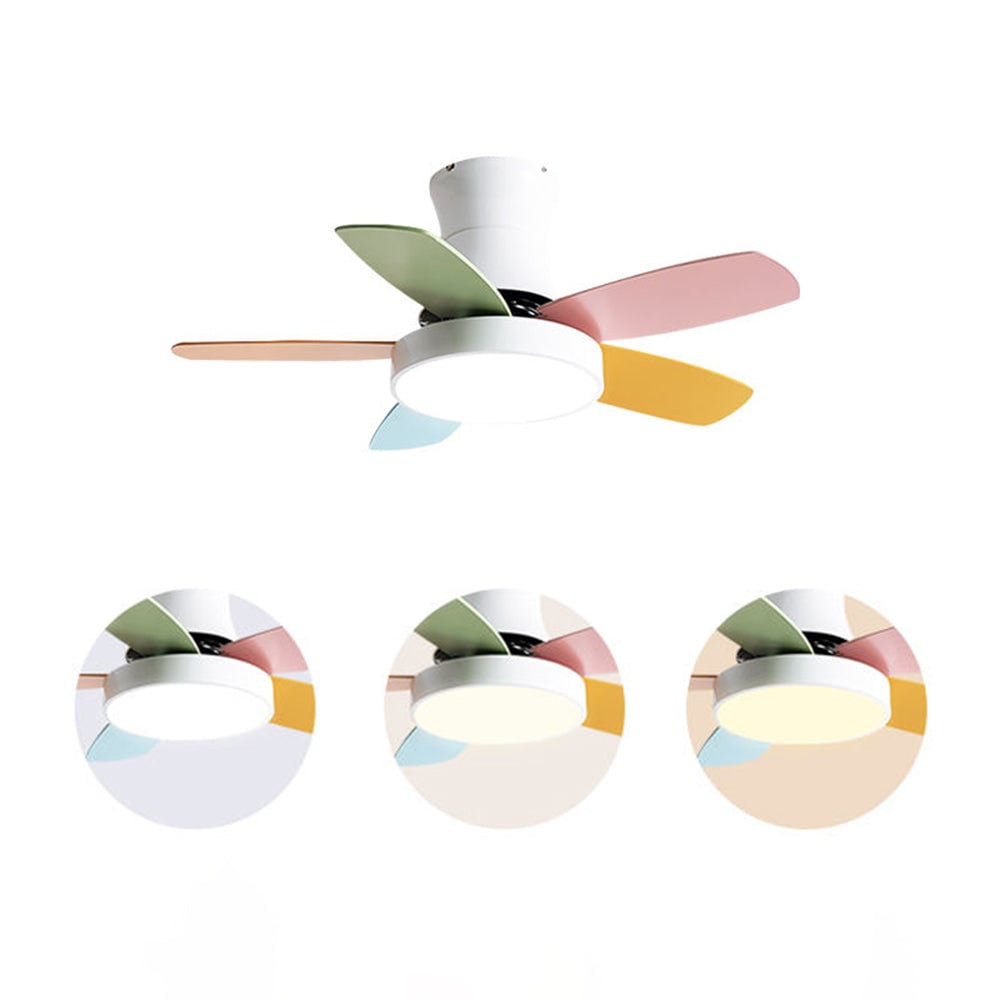 Morandi 5-Blade Colorful DC Ceiling Fan with Light, Low Profile, 42'' - Lumpaz