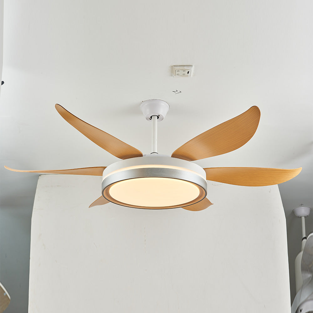 Haydn 6-Blade DC Fan with Light, Silver & Gold, Metal & Acrylic & ABS, Bedroom - Lumpaz