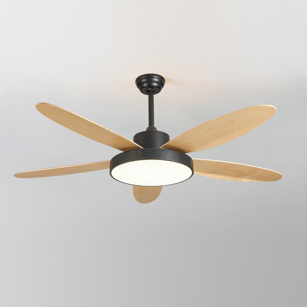 Haydn 5-Blade White & Black  DC Ceiling Fan with Light, Summer, 47.2''/51.2''/55.1'' - Lumpaz