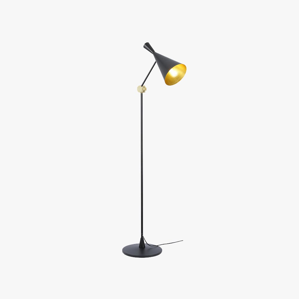 Carins Modern Minimalist Metal Tall Standing Floor Lamp, Black/Gold - Lumpaz
