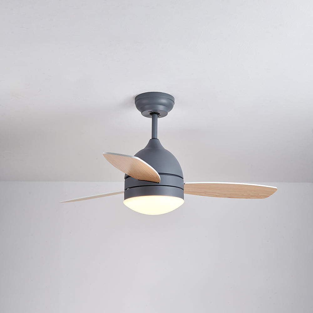 Haydn 3-Blade DC Modern Ceiling Fan with Light, Summer, 41'' - Lumpaz
