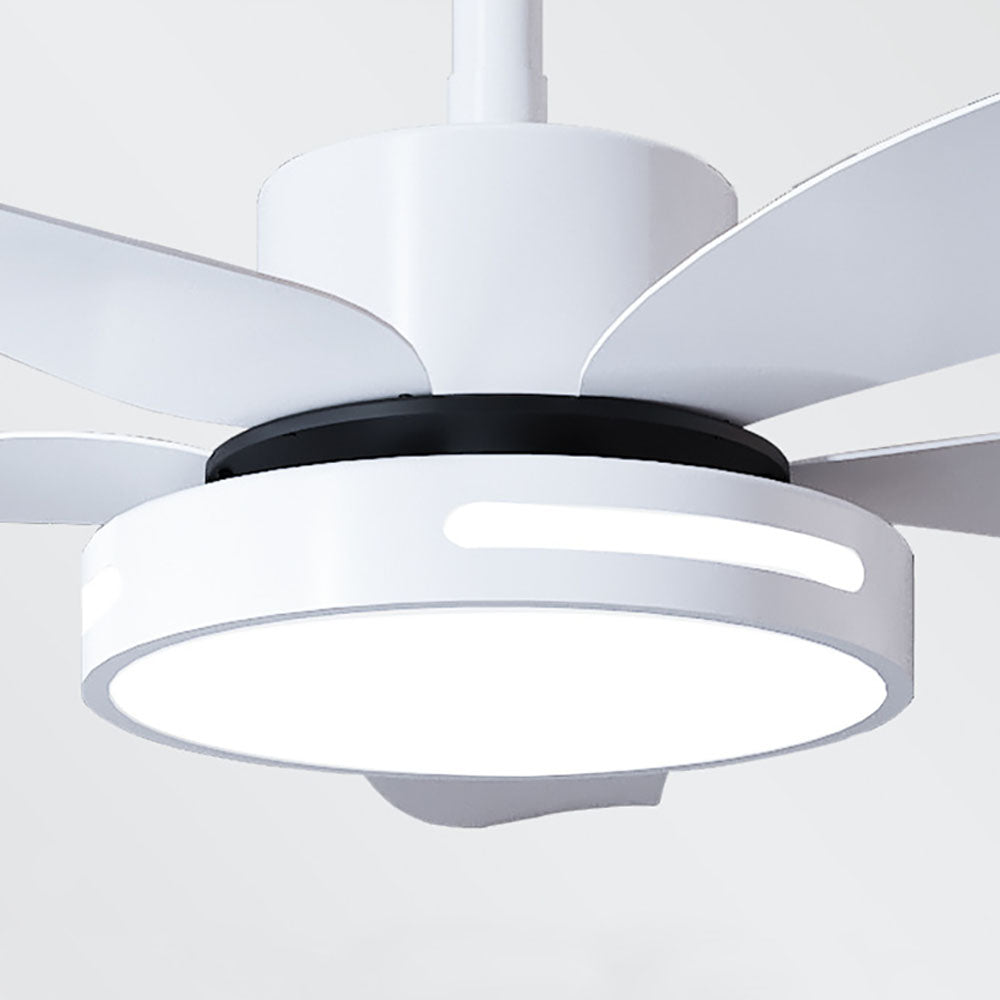 Haydn 5-Blade Modern Basic DC Ceiling Fan with Light, White/Black, 52'' - Lumpaz