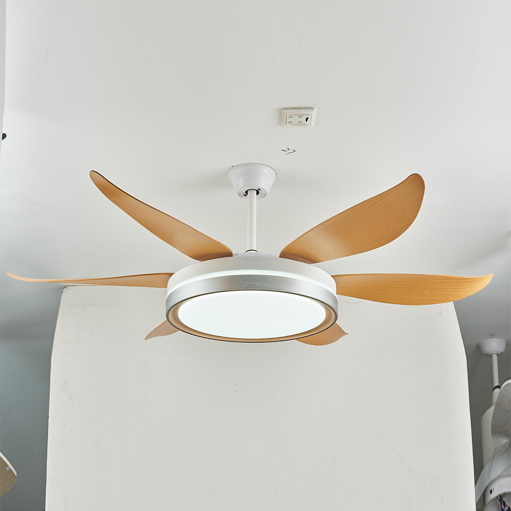 Haydn 6-Blade DC Fan with Light, Silver & Gold, Metal & Acrylic & ABS, Bedroom - Lumpaz