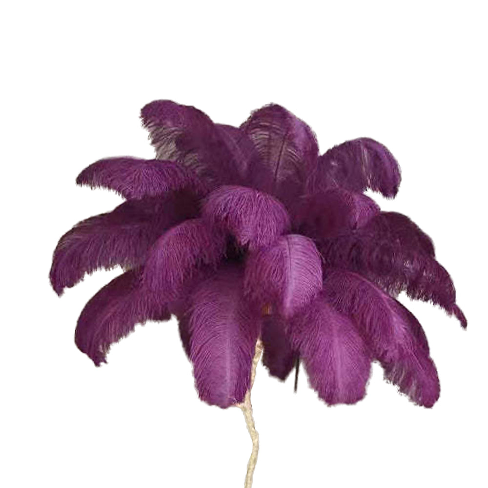 O'Moore Nordic Luxury Unique Ostrich Feather Floor Lamp/Table Lamp - Lumpaz